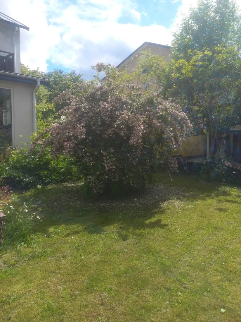 Villa, Trinnöjegatan 5, Ranten, Falköping