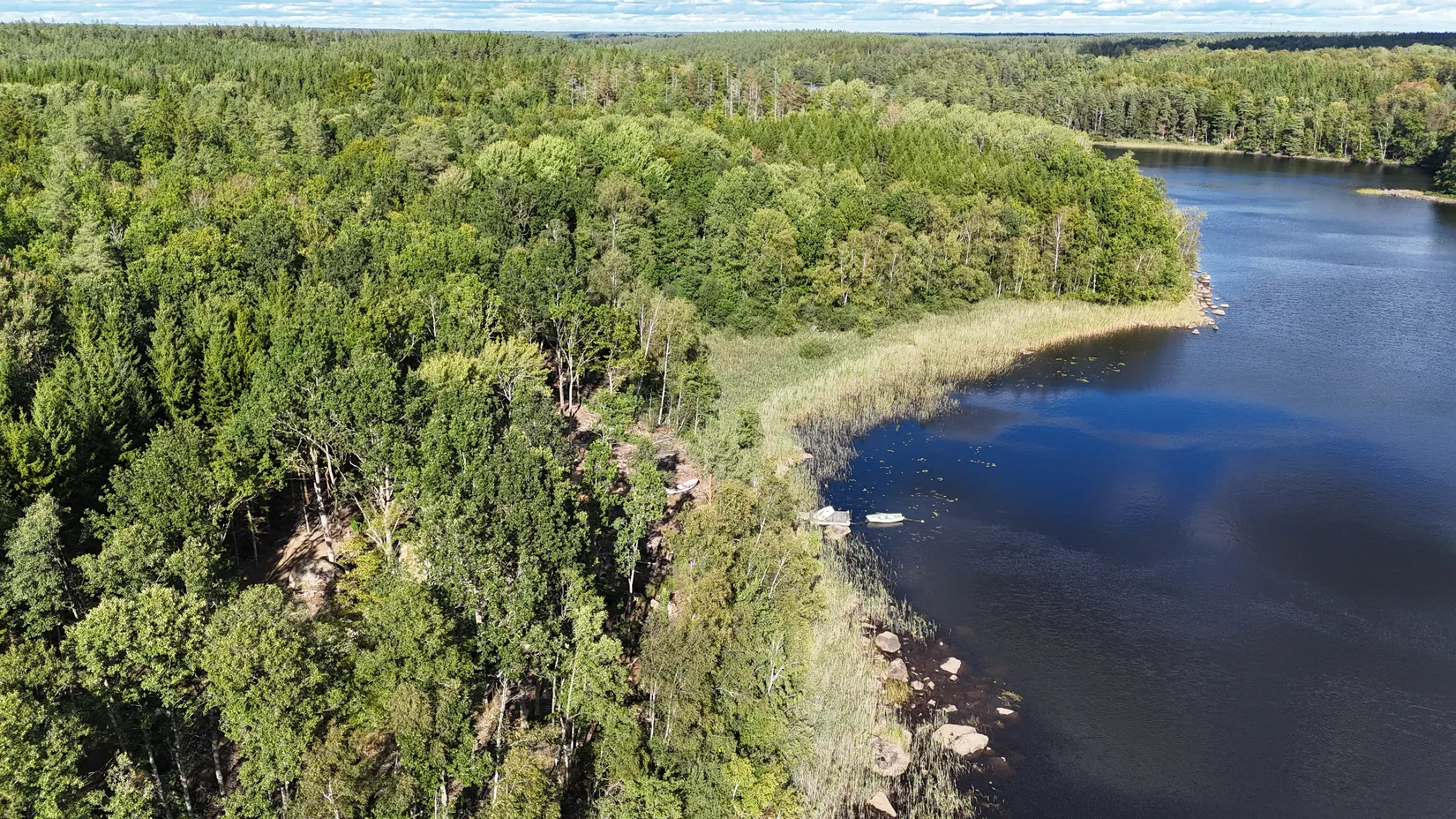 Gård/Skog, Halasjövägen 736-0, Persgärde, Karlshamn