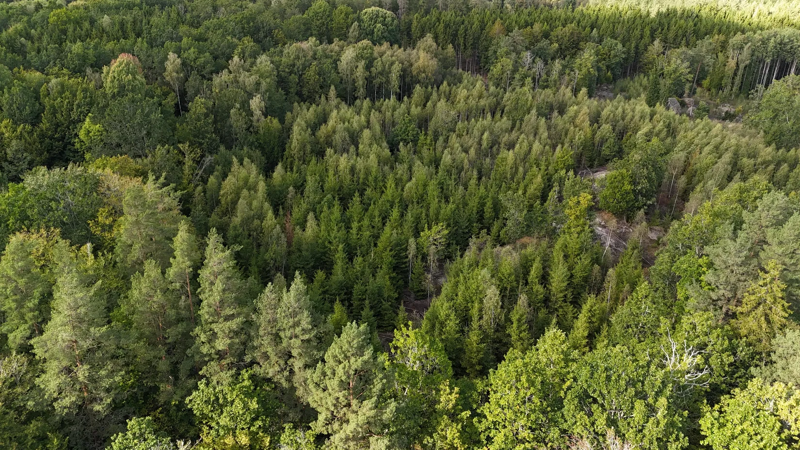 Gård/Skog, Halasjövägen 736-0, Persgärde, Karlshamn