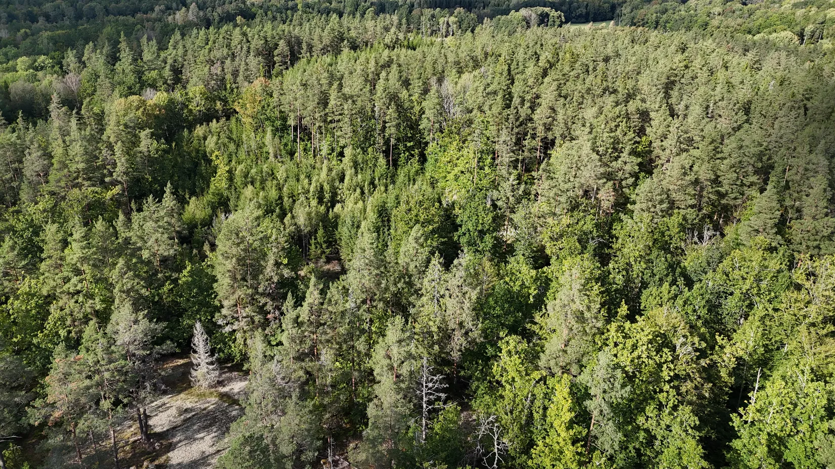 Gård/Skog, Halasjövägen 736-0, Persgärde, Karlshamn