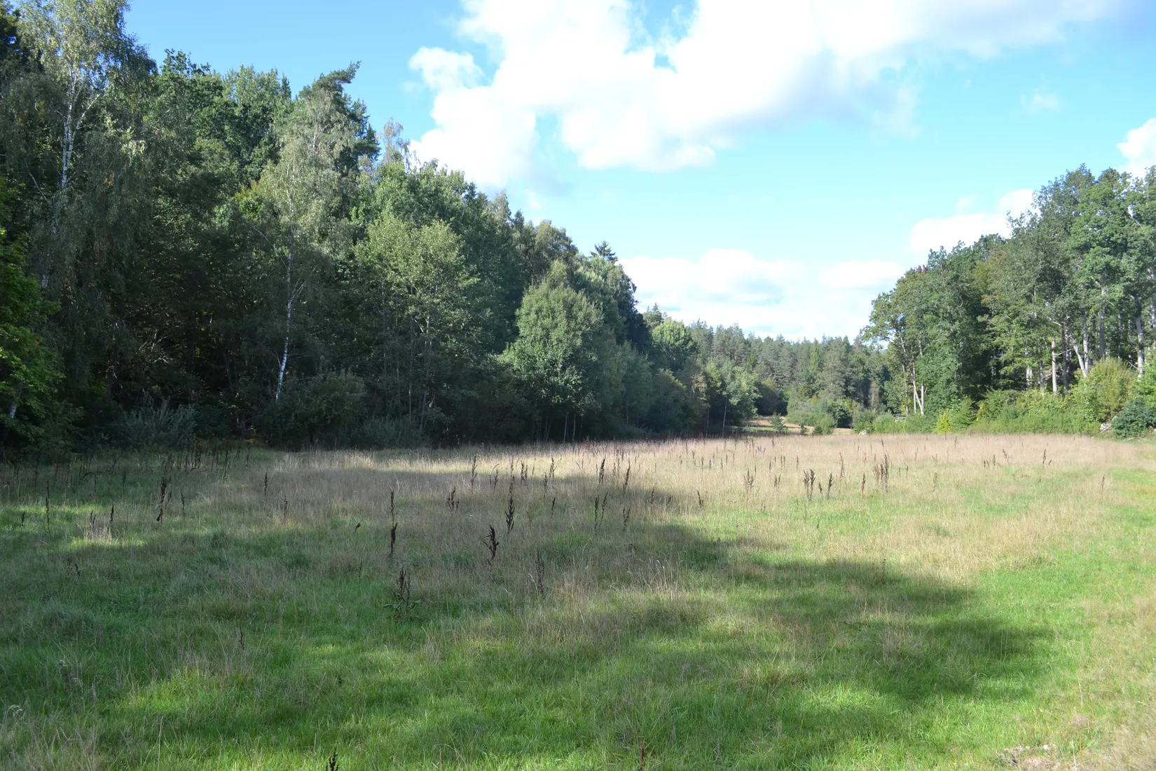 Gård/Skog, Halasjövägen 736-0, Persgärde, Karlshamn