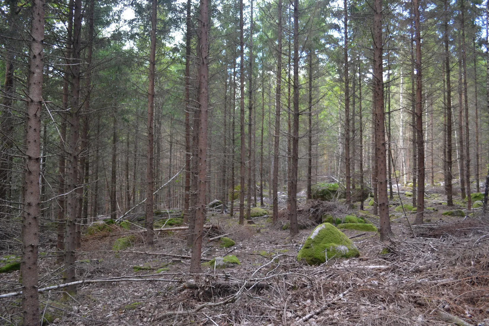 Gård/Skog, Halasjövägen 736-0, Persgärde, Karlshamn