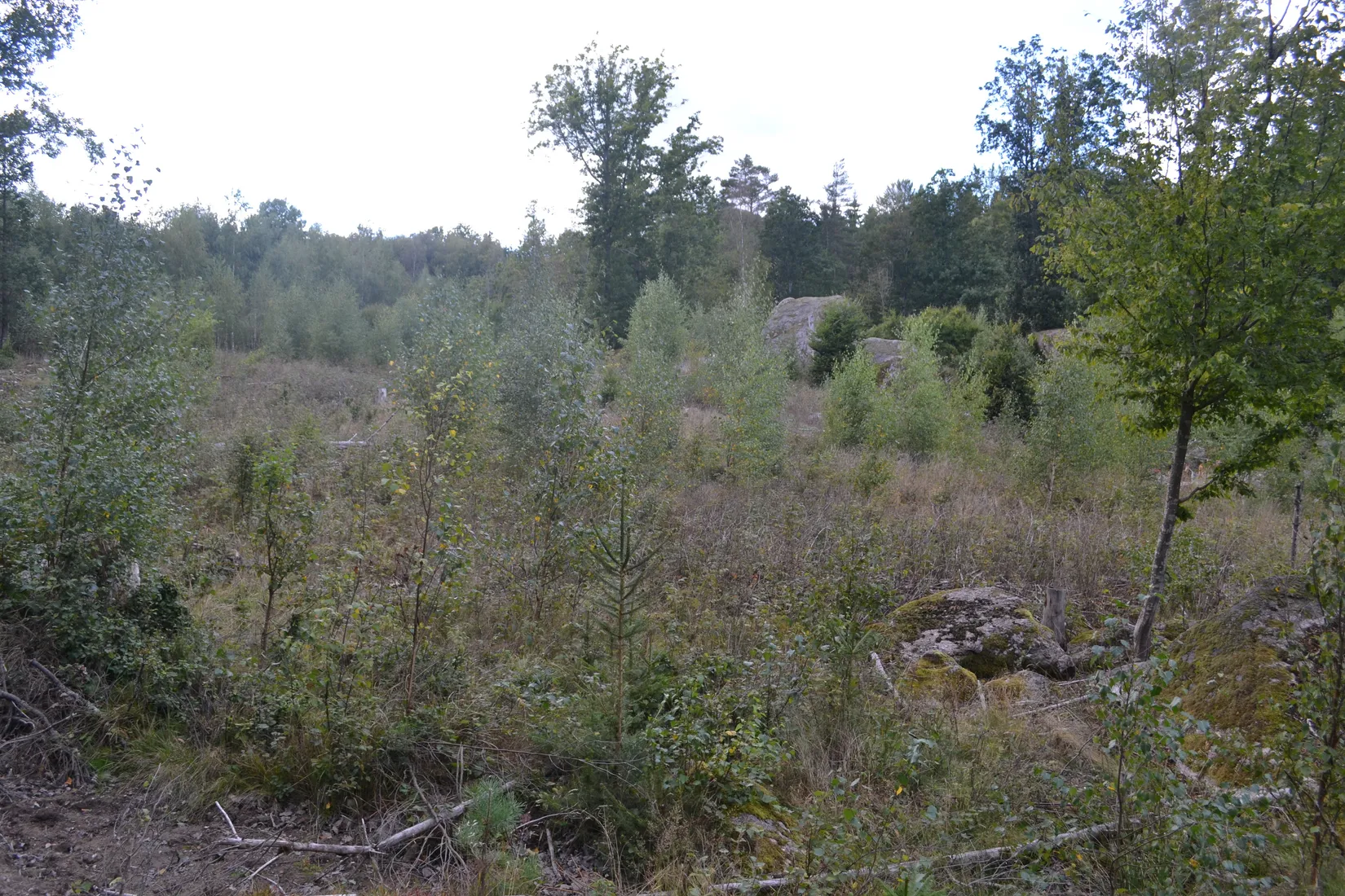 Gård/Skog, Halasjövägen 736-0, Persgärde, Karlshamn