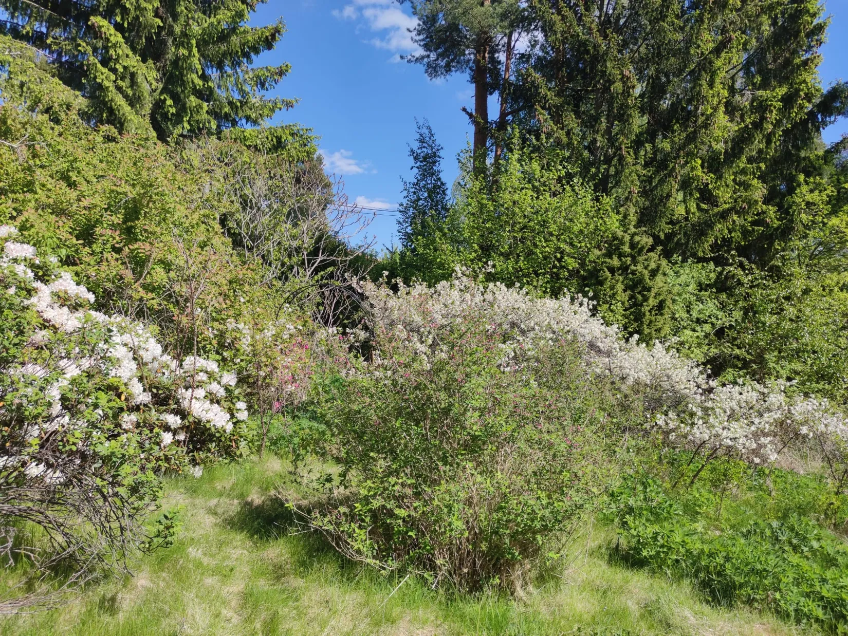 Fritidshus, Ormvråksvägen 7, Färingsö Degerby, Ekerö