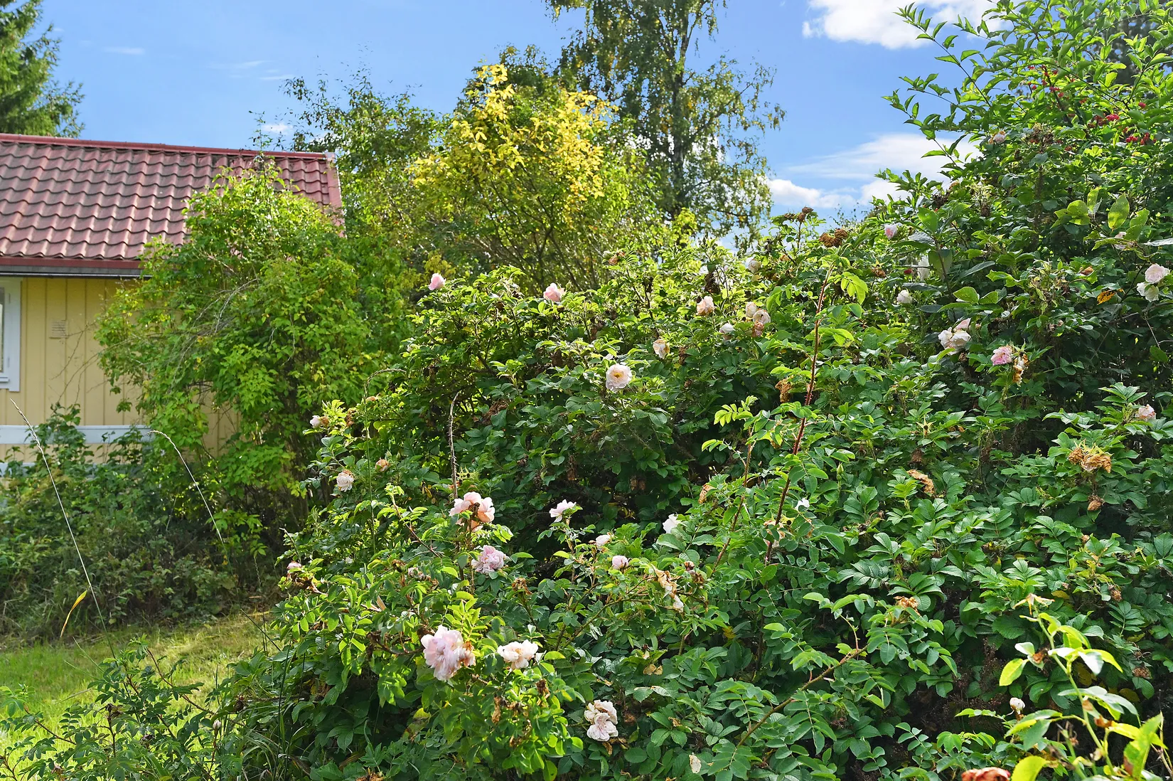 Fritidshus, Ormvråksvägen 7, Färingsö Degerby, Ekerö