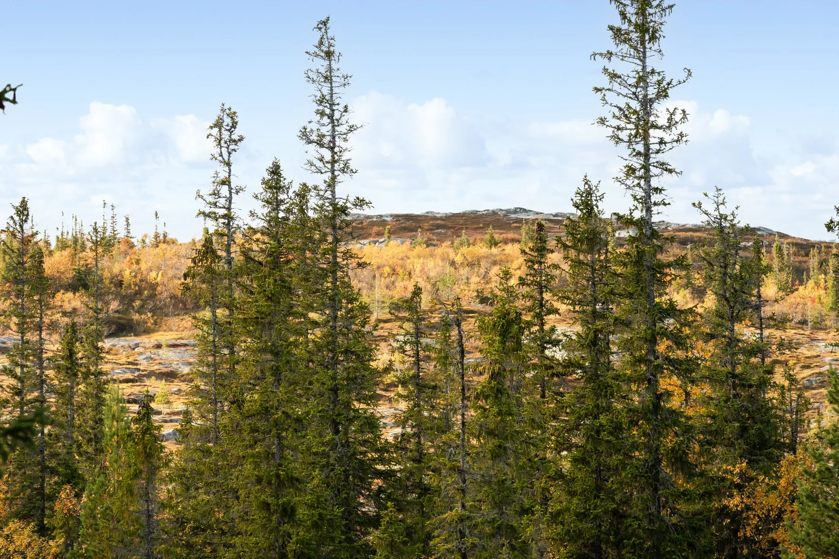 Fritidshus, Gråbergsvägen 25, Gräftåvallen, Berg