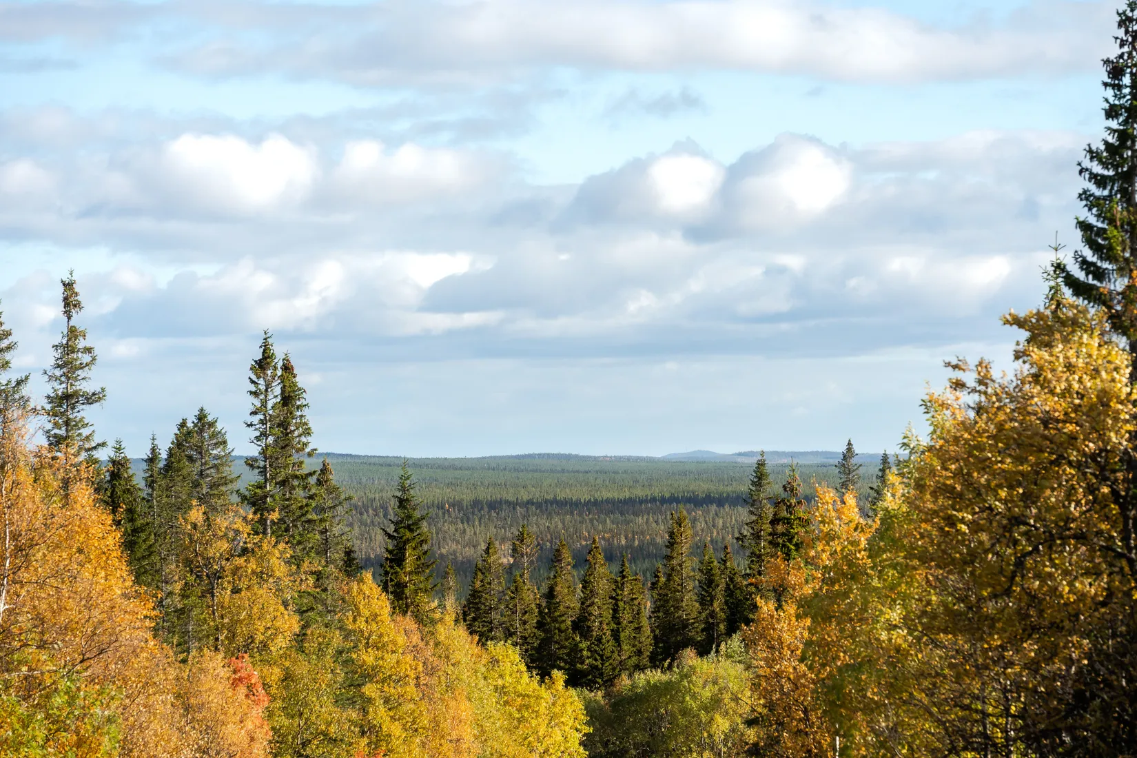 Fritidshus, Gråbergsvägen 25, Gräftåvallen, Berg
