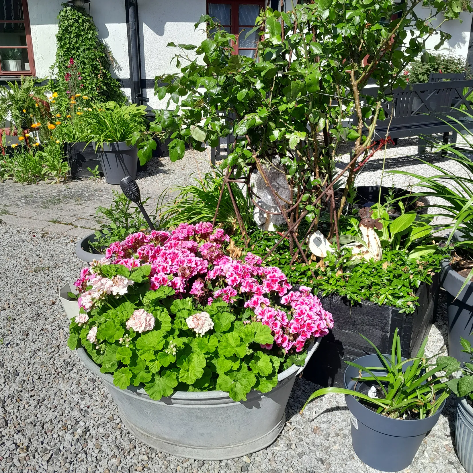 Gård/Skog, Lantmannavägen 1, Onslunda, Tomelilla