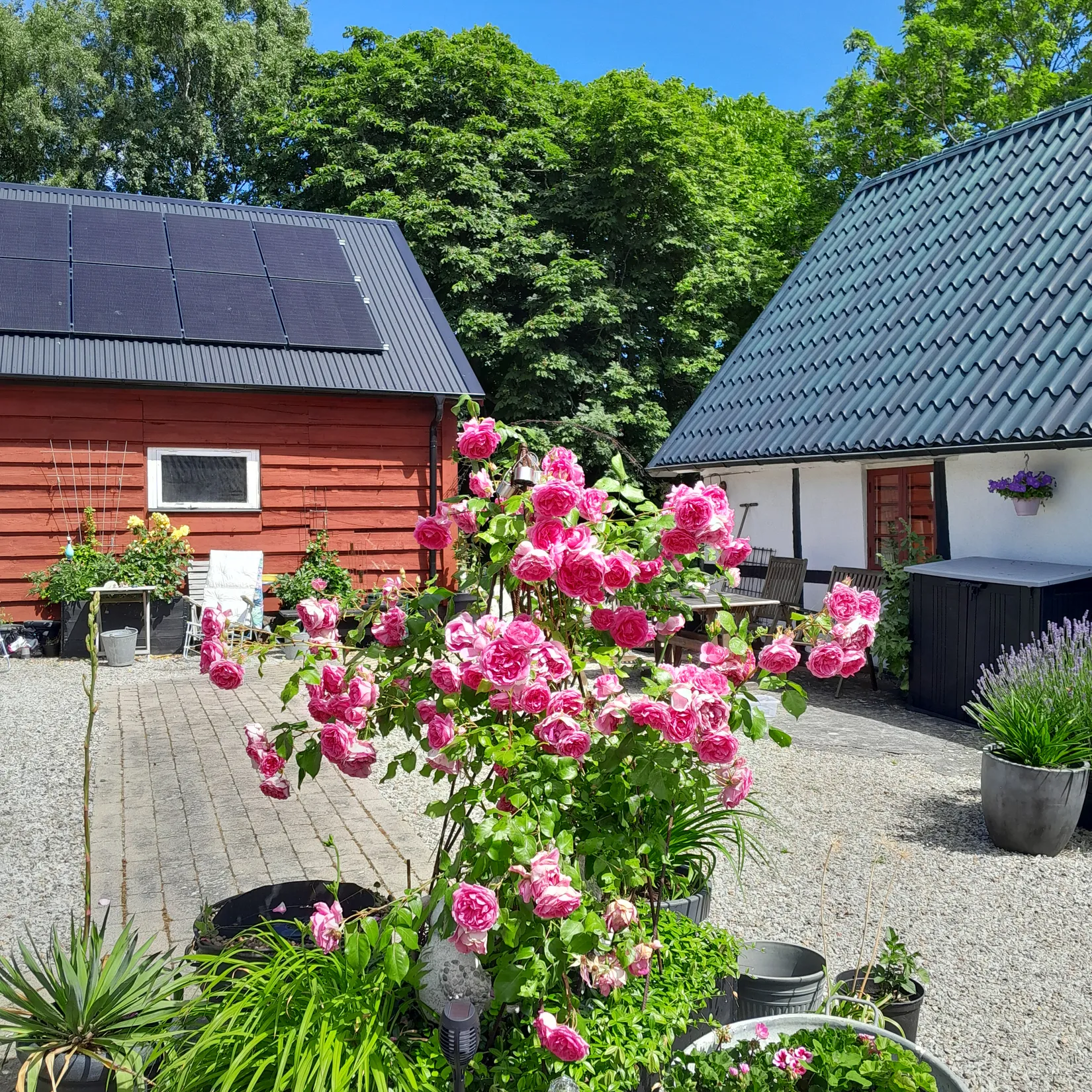 Gård/Skog, Lantmannavägen 1, Onslunda, Tomelilla