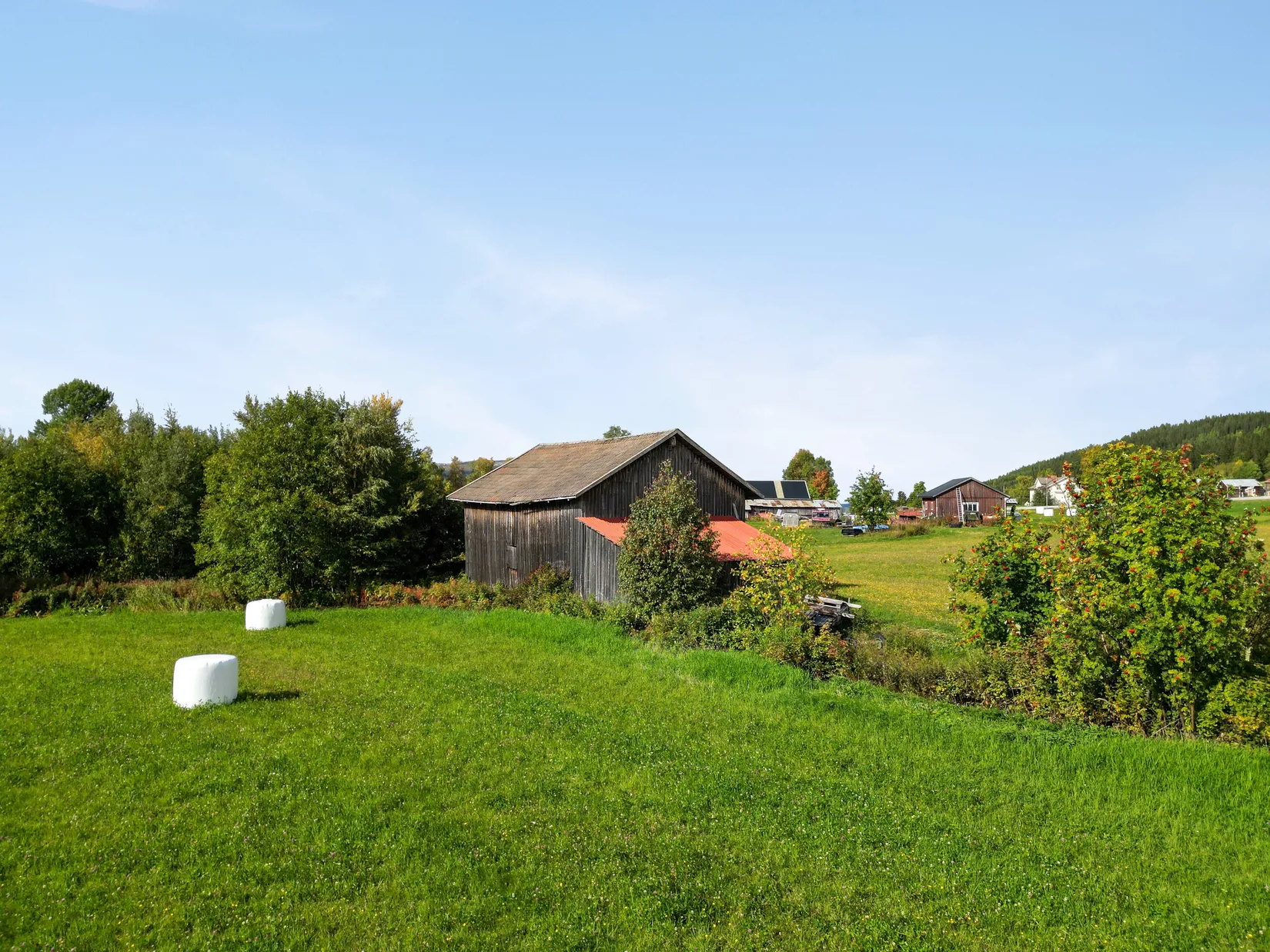 Gård/Skog, Klövsjövägen 19/Bergmansvägen 3, Klövsjö by, Berg