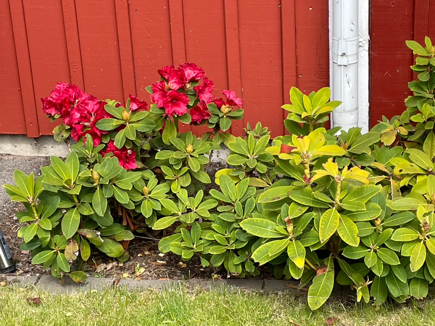 Radhus, Hyacintvägen 4B, Sätra, Gävle