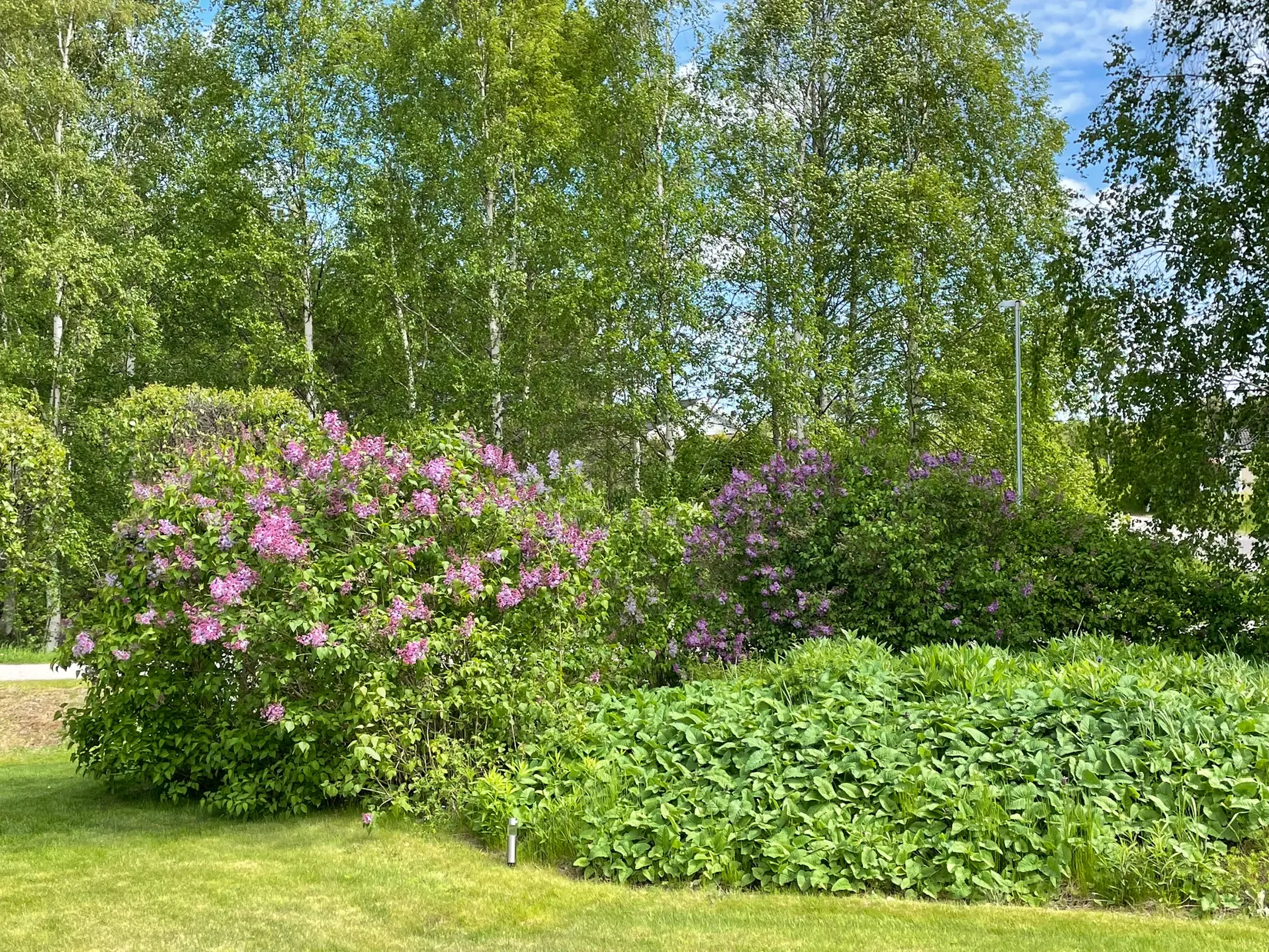 Radhus, Hyacintvägen 4B, Sätra, Gävle