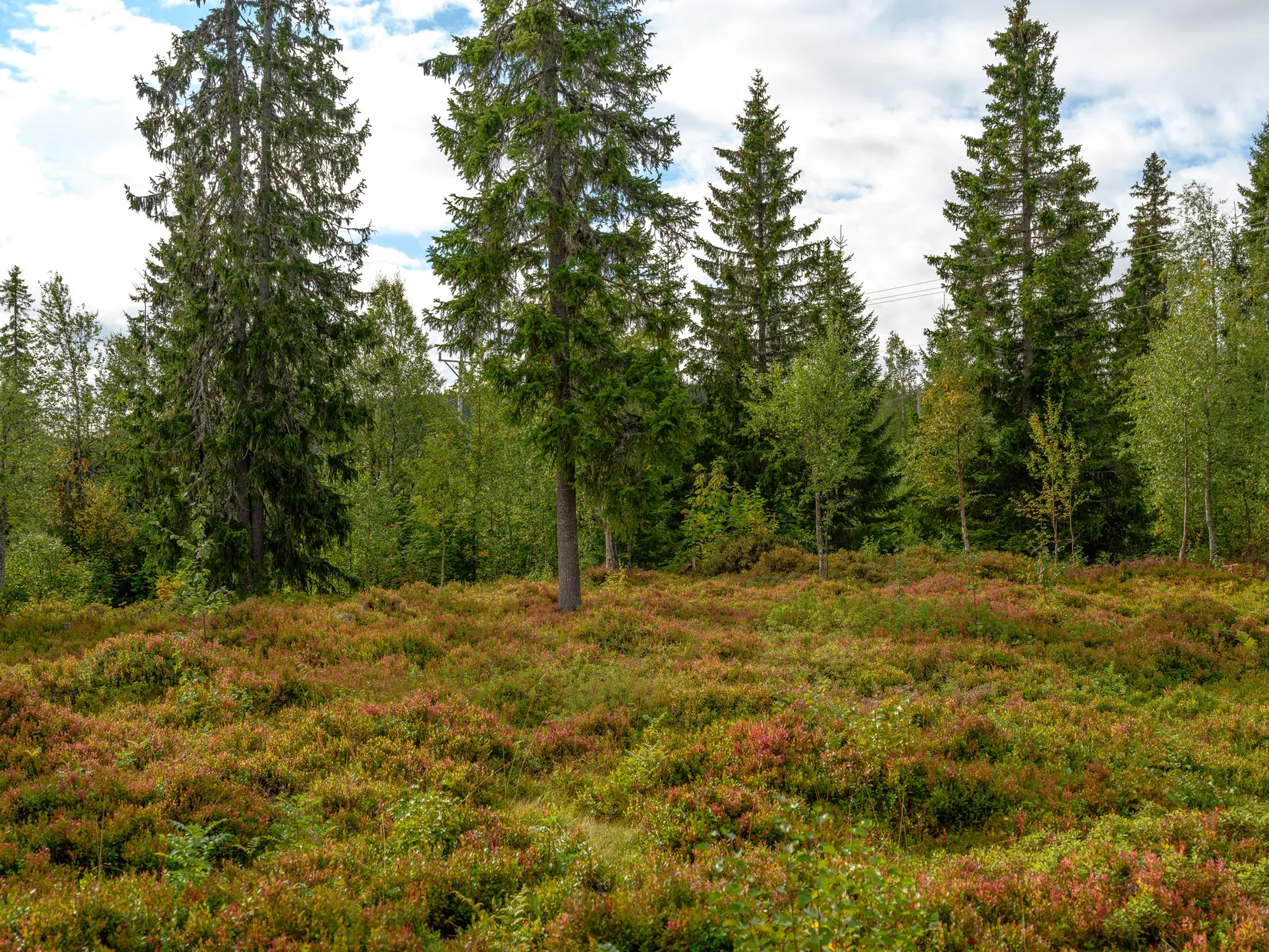 Fritidshus, Gubbmyrvägen 23, Lindvallen, Malung-Sälen