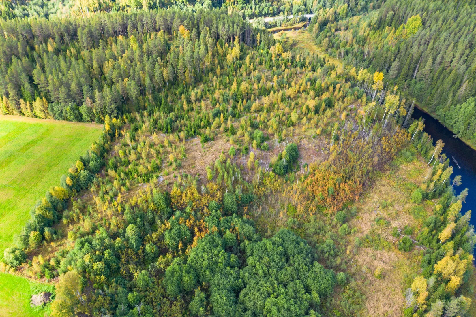 Gård/Skog, Strandmon 148, Sollefteå