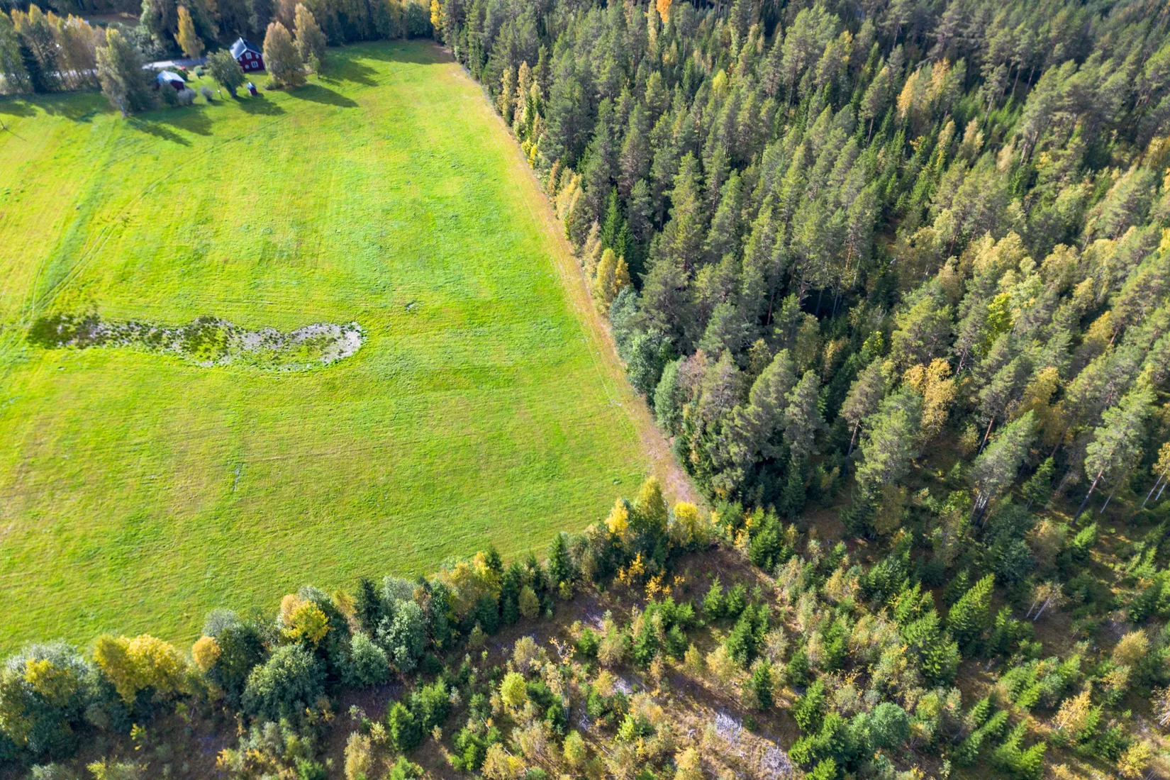 Gård/Skog, Strandmon 148, Sollefteå