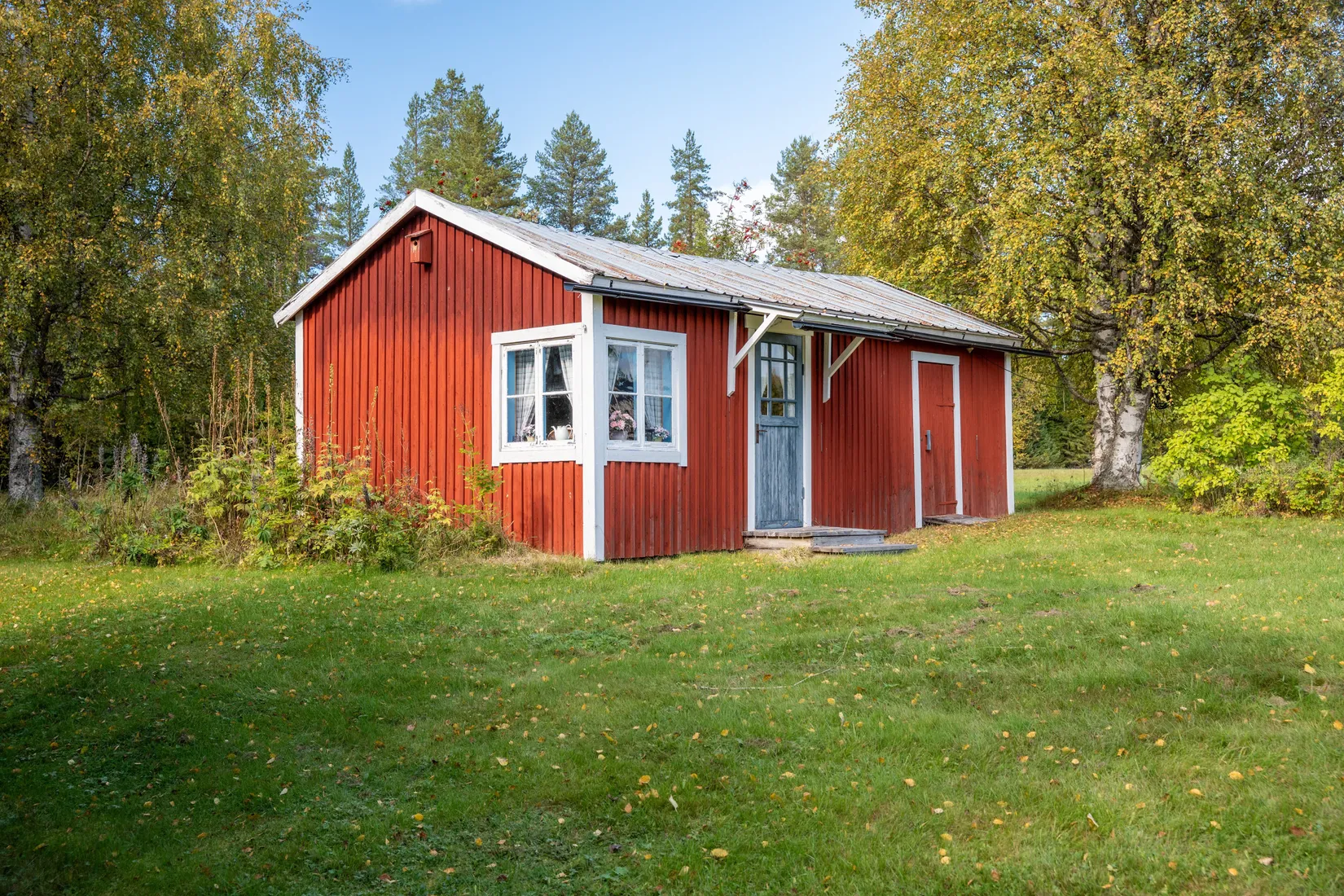 Gård/Skog, Strandmon 148, Sollefteå