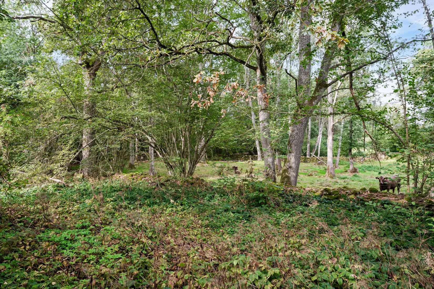 Villa, Ignaberga-Attarp 7041, Ignaberga, Hässleholm