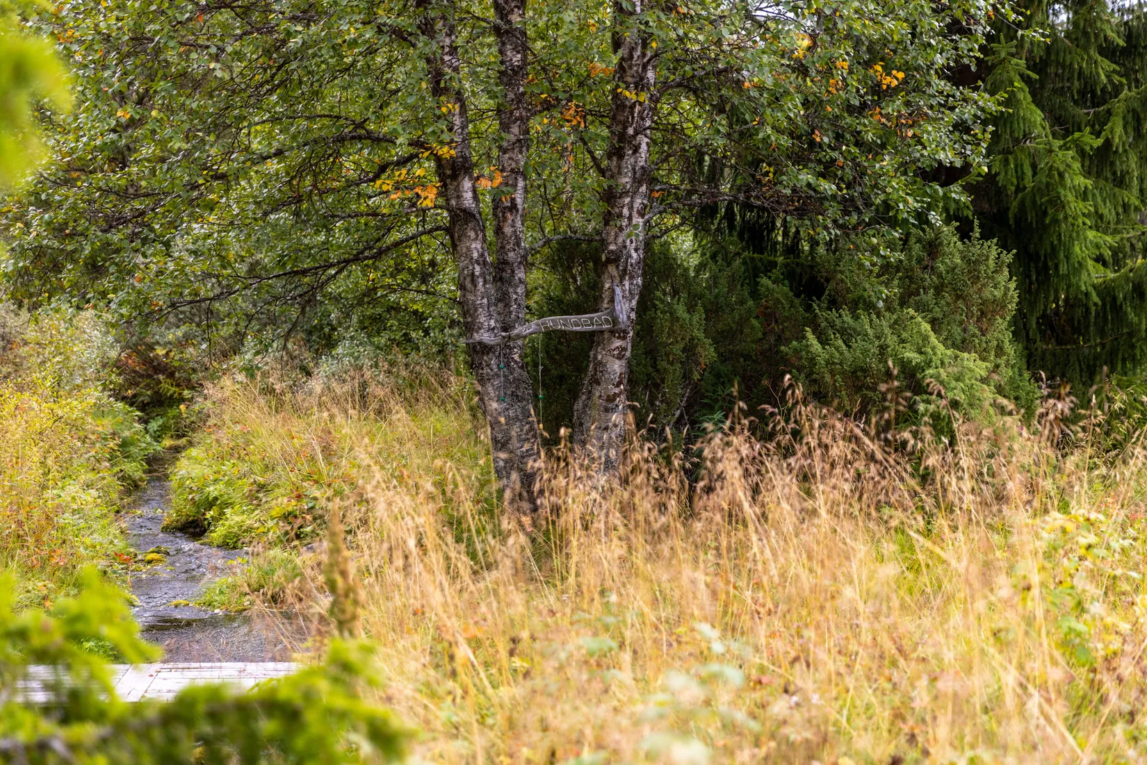 Fritidshus, Uppvallsvägen 20, Härjedalen