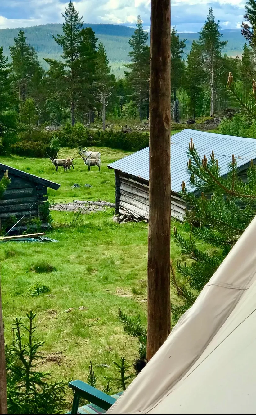 Fritidshus, Uppvallsvägen 20, Härjedalen