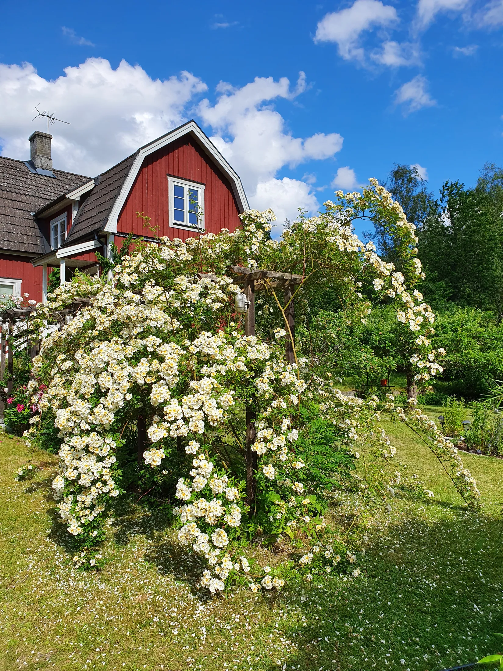 Villa, Hemsjövägen 1140, Olofström
