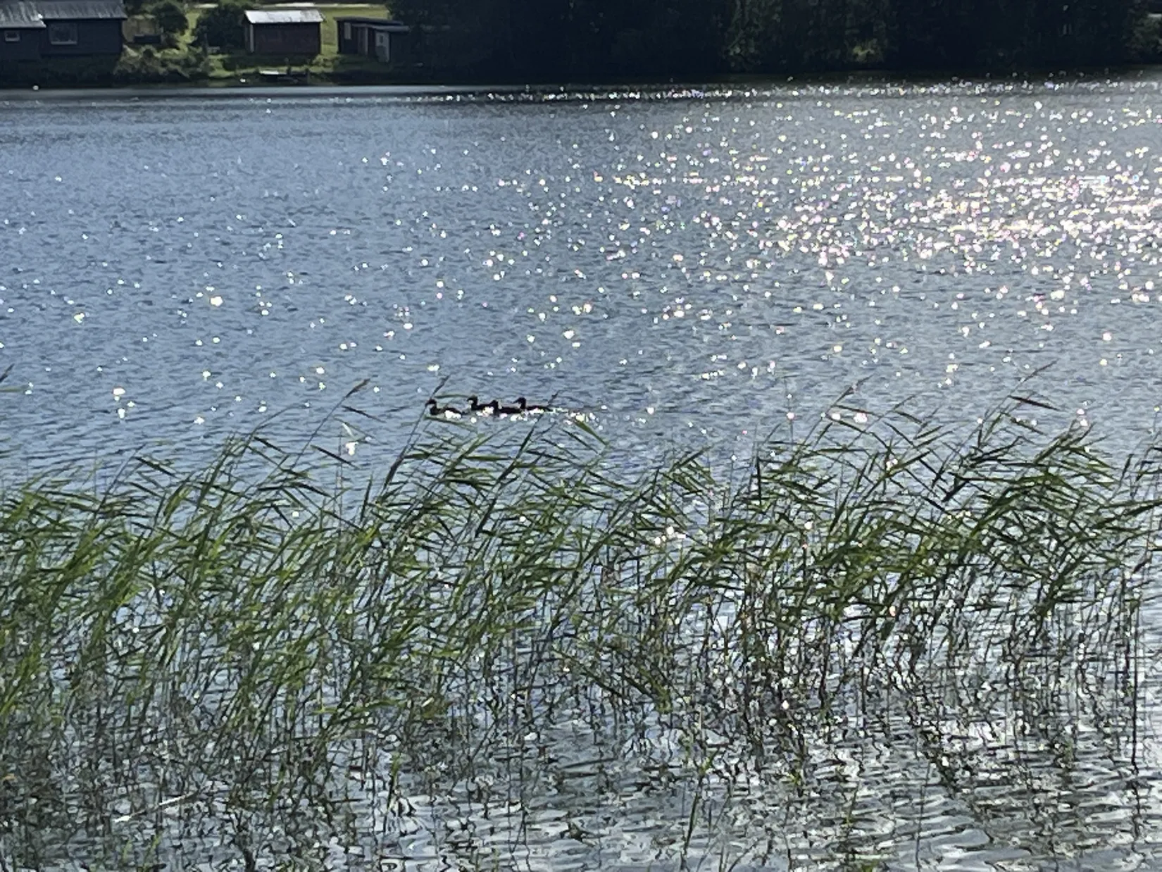 Övrigt, Fanbyn 536, Fanbyn/ Gällö, Bräcke