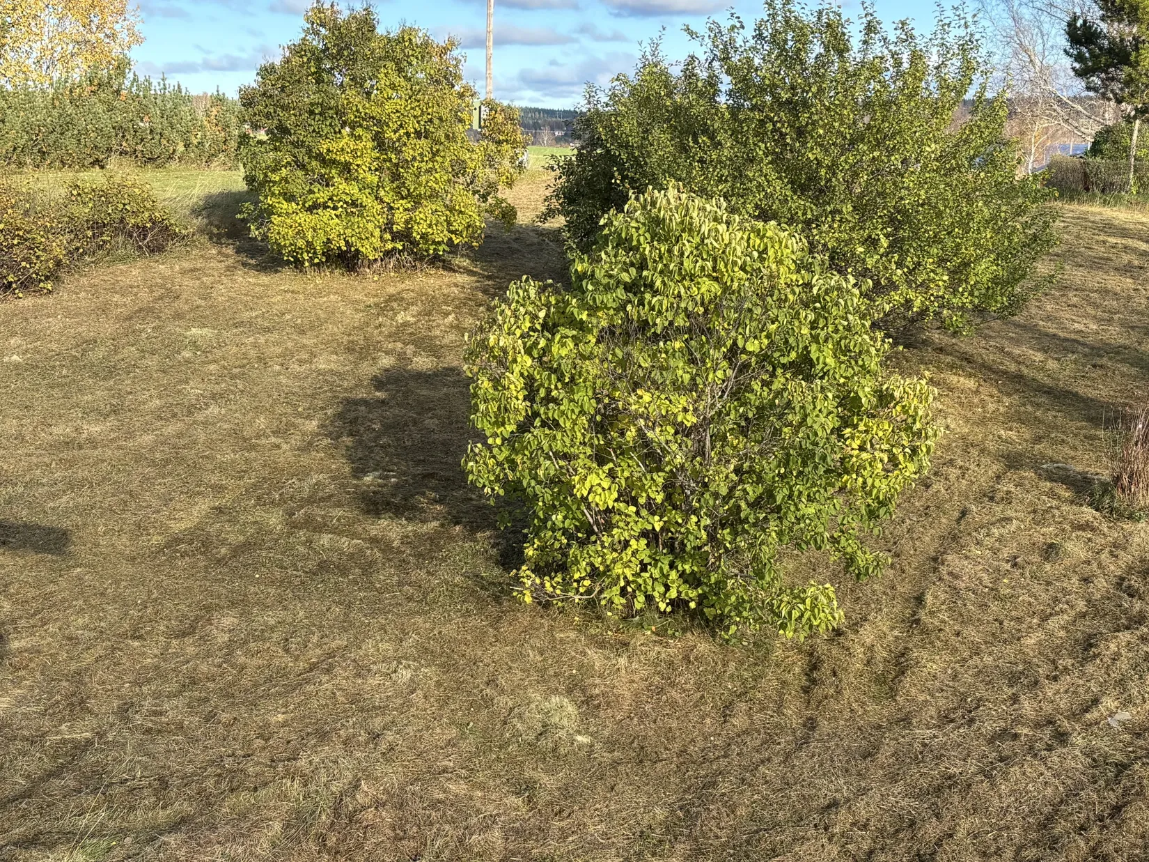 Övrigt, Fanbyn 536, Fanbyn/ Gällö, Bräcke
