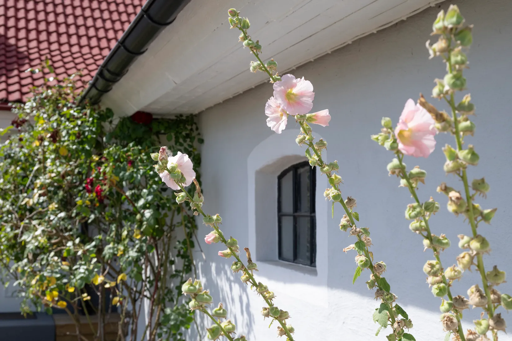 Villa, Sandåkra Byväg 23, Skurup