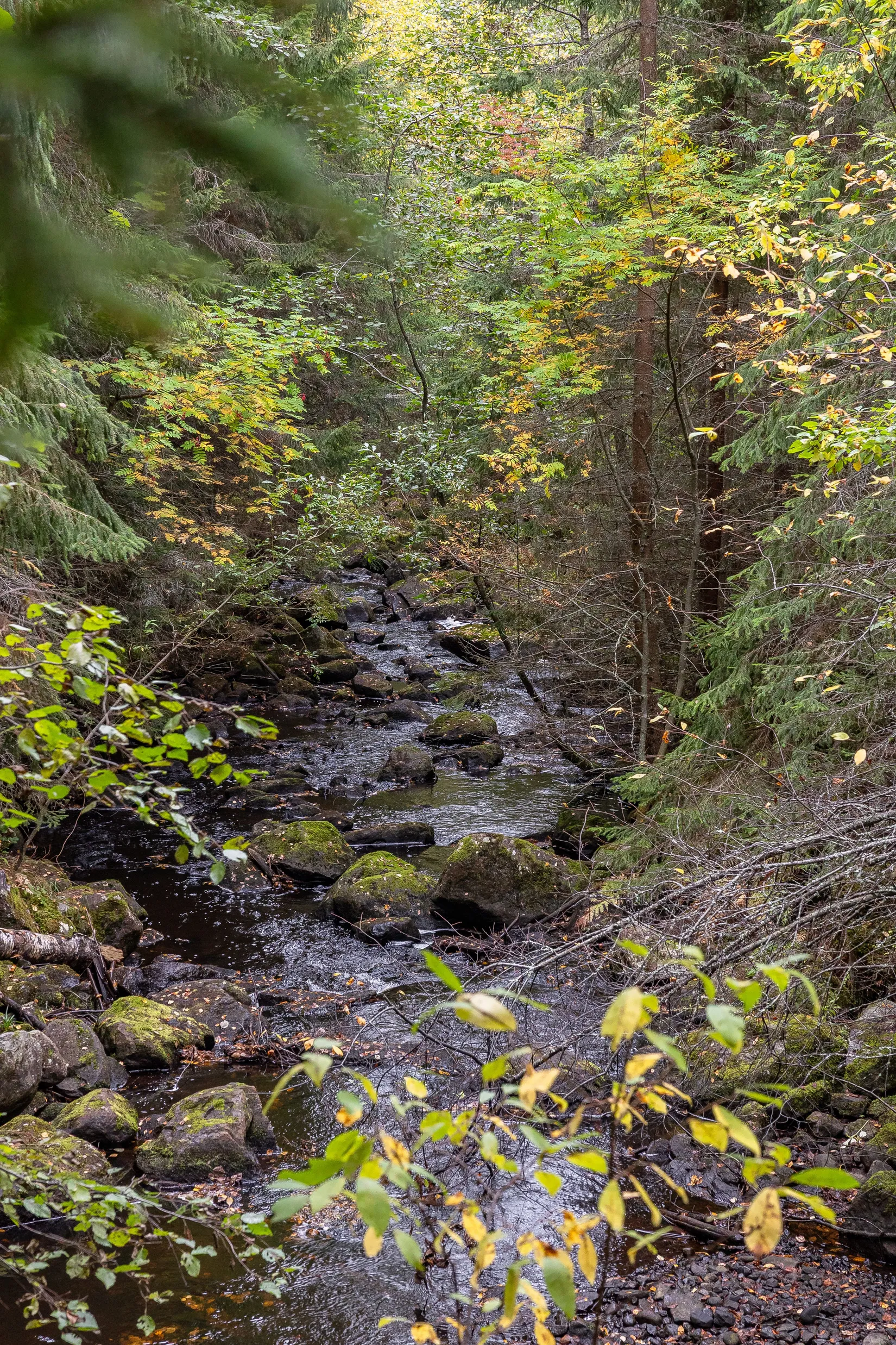 Gård/Skog, Gnistervägen 5, Färila, Föne, Ljusdal