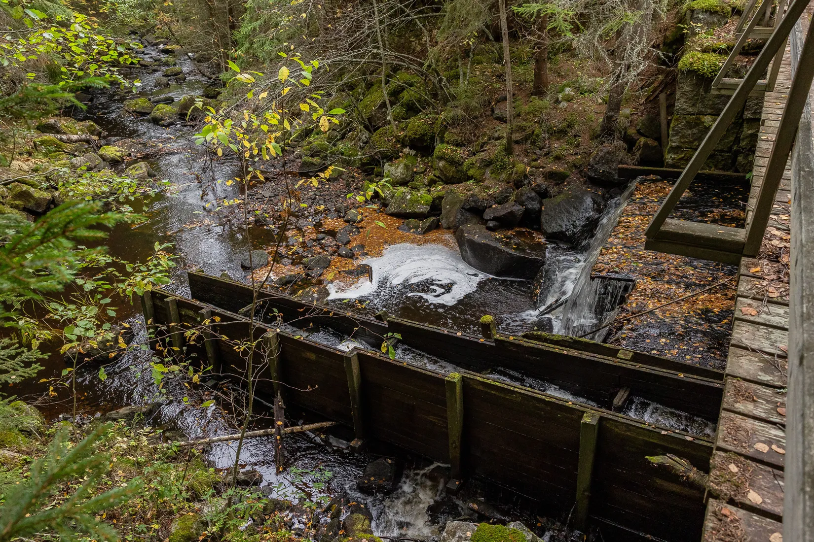 Gård/Skog, Gnistervägen 5, Färila, Föne, Ljusdal