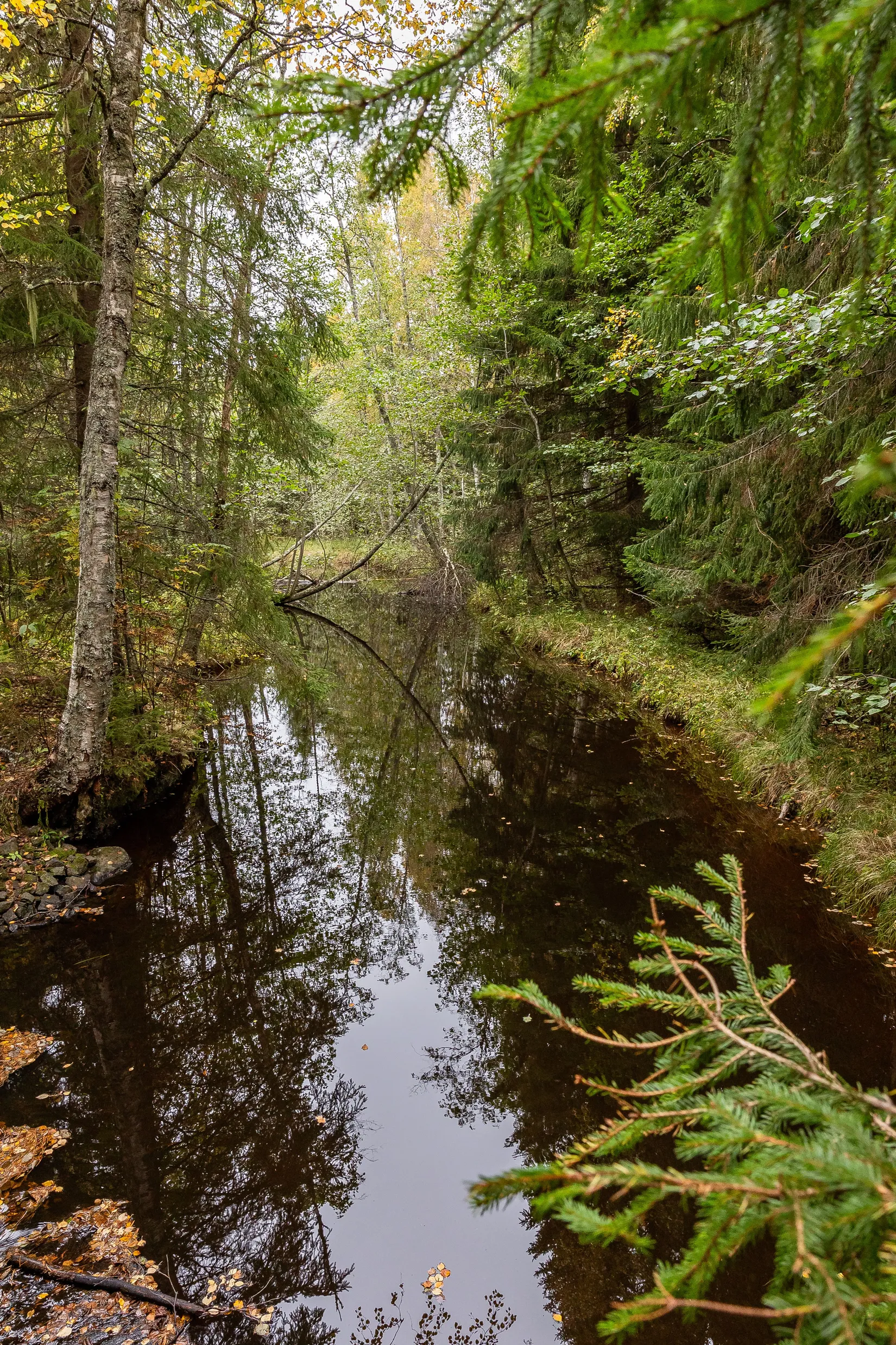 Gård/Skog, Gnistervägen 5, Färila, Föne, Ljusdal
