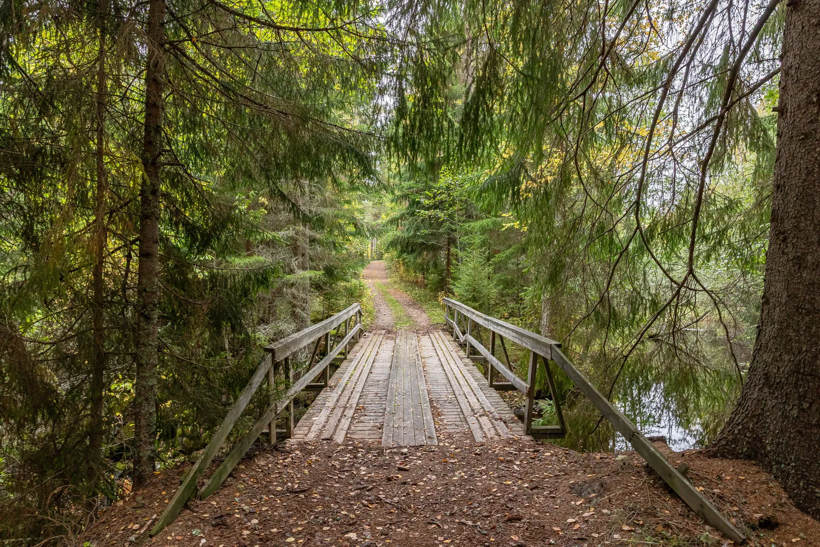 Gård/Skog, Gnistervägen 5, Färila, Föne, Ljusdal