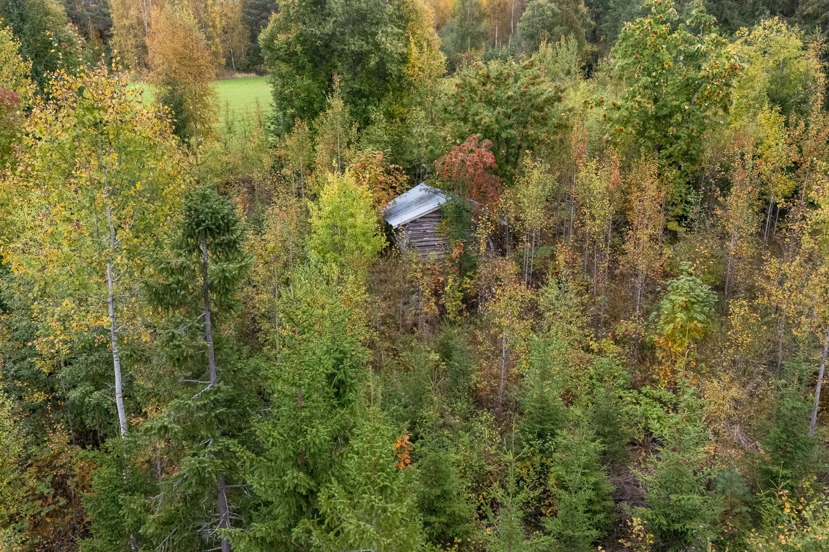 Gård/Skog, Gnistervägen 5, Färila, Föne, Ljusdal