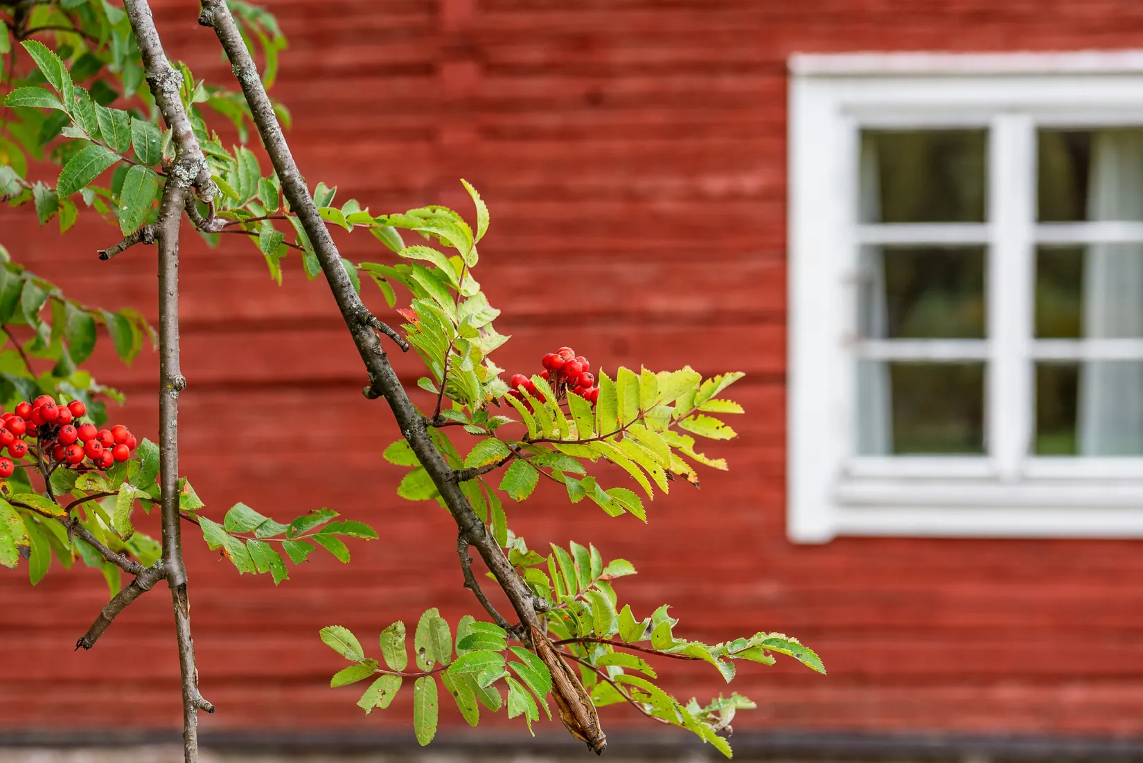 Villa, Ennarbolsmon 12, Klarälvdalen södra, Torsby