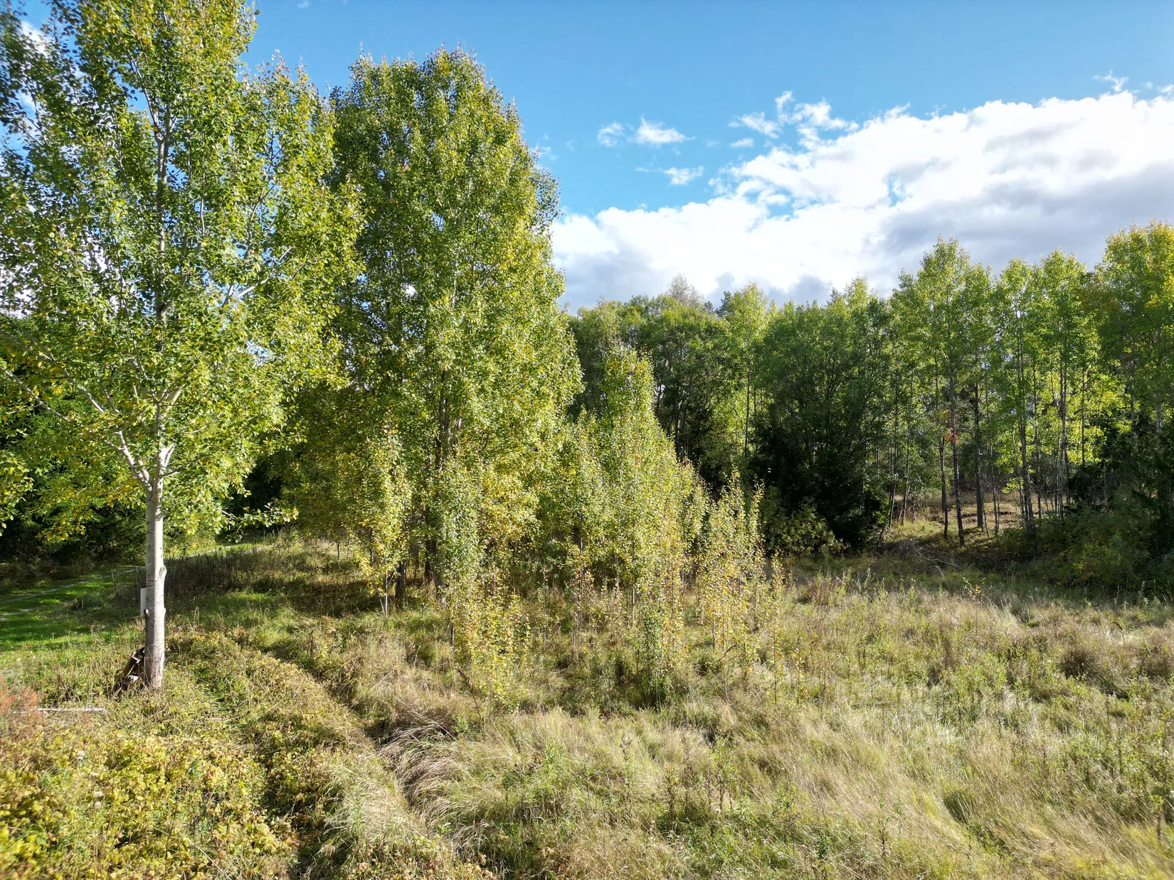 Tomt, Vikensbergsvägen 23, Norrtälje