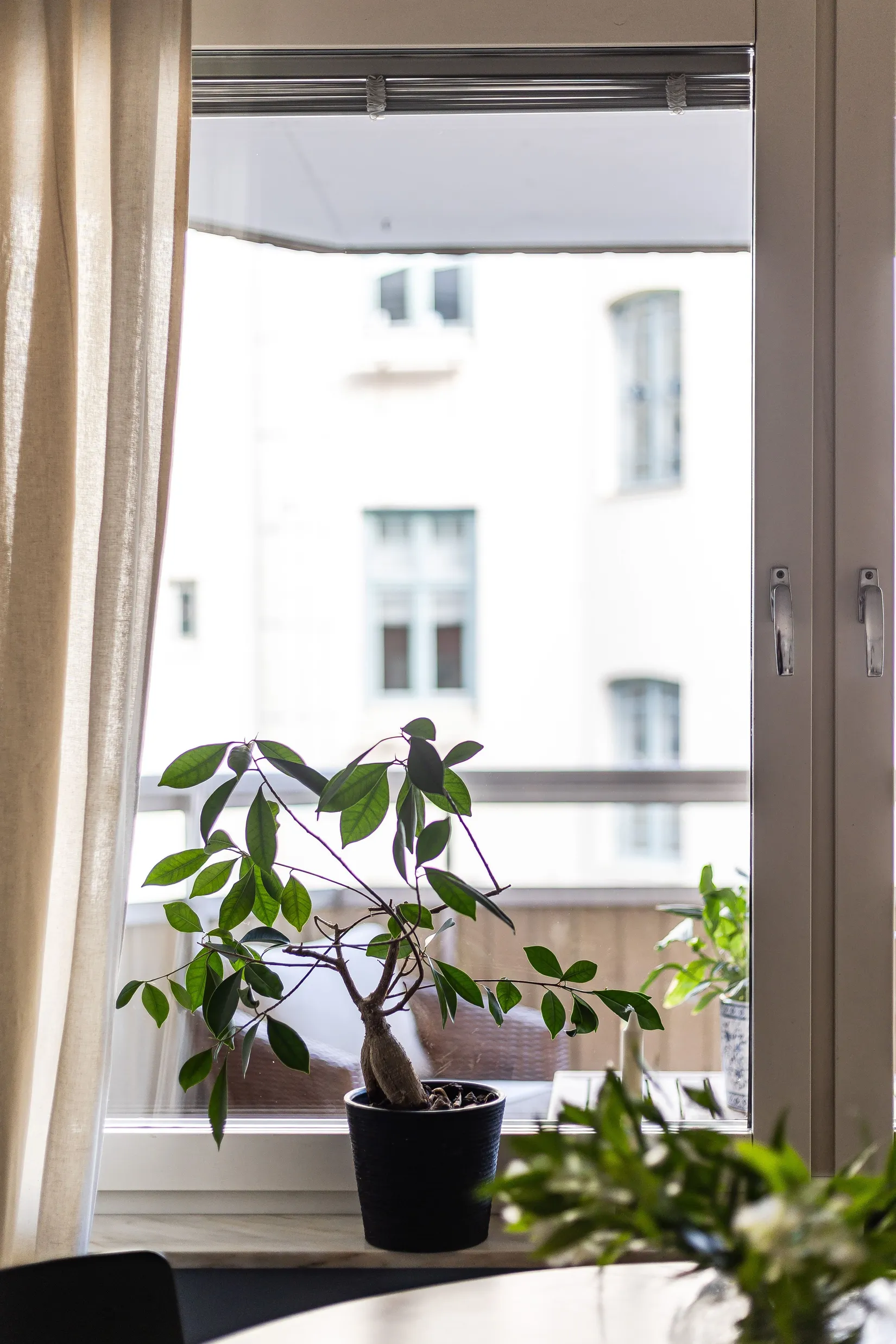 Bostadsrätt, Trädgårdsgatan 8c, Centralt - Stenstan, Sundsvall