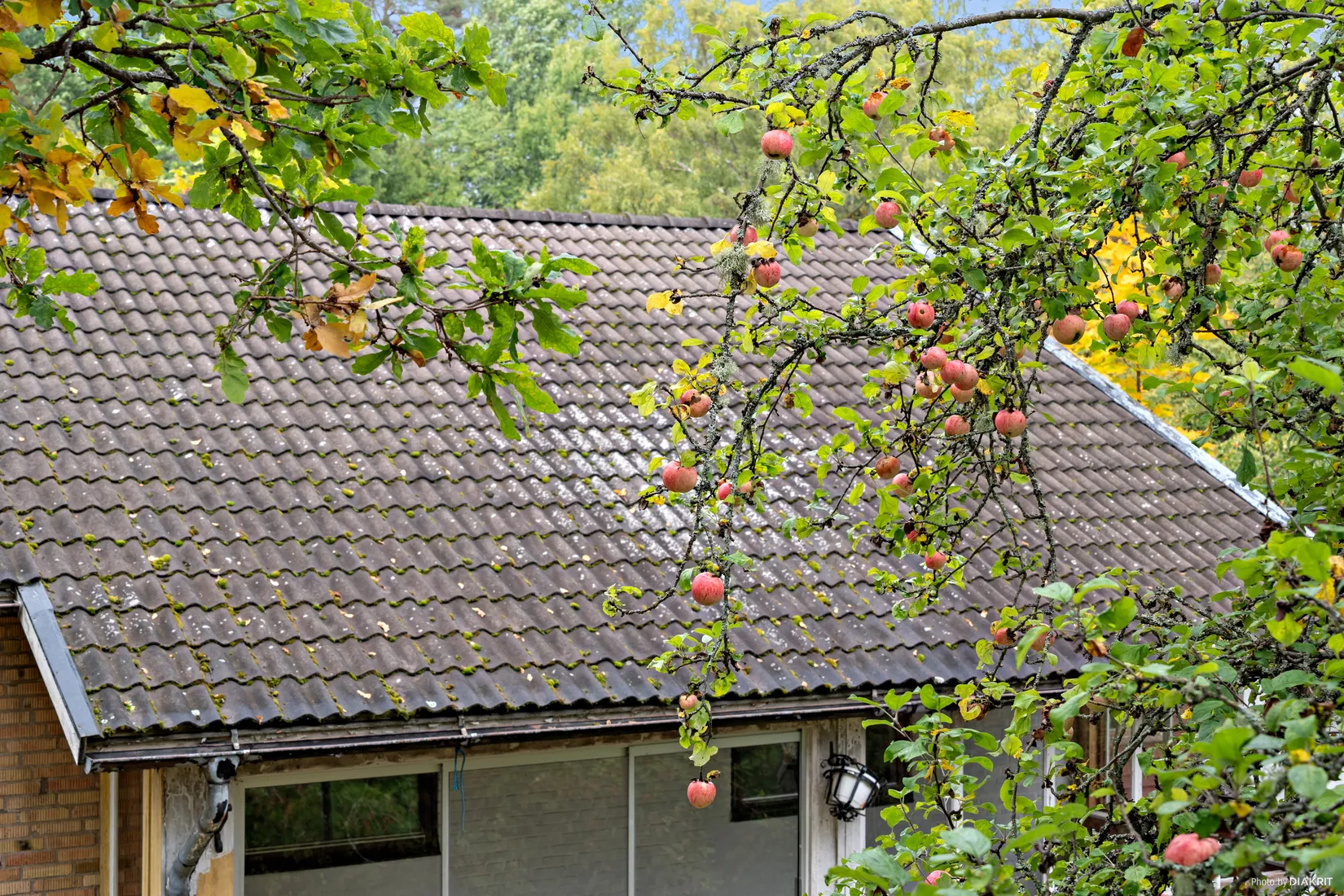 Villa, Klövervägen 7, Stjärnsnäs, Hagfors