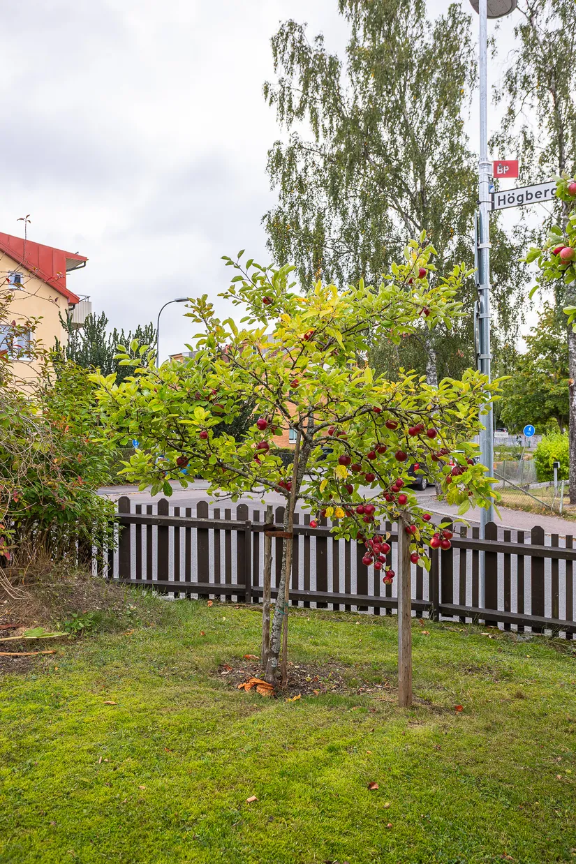 Villa, Kronvägen 25, Ormberget, Västerås