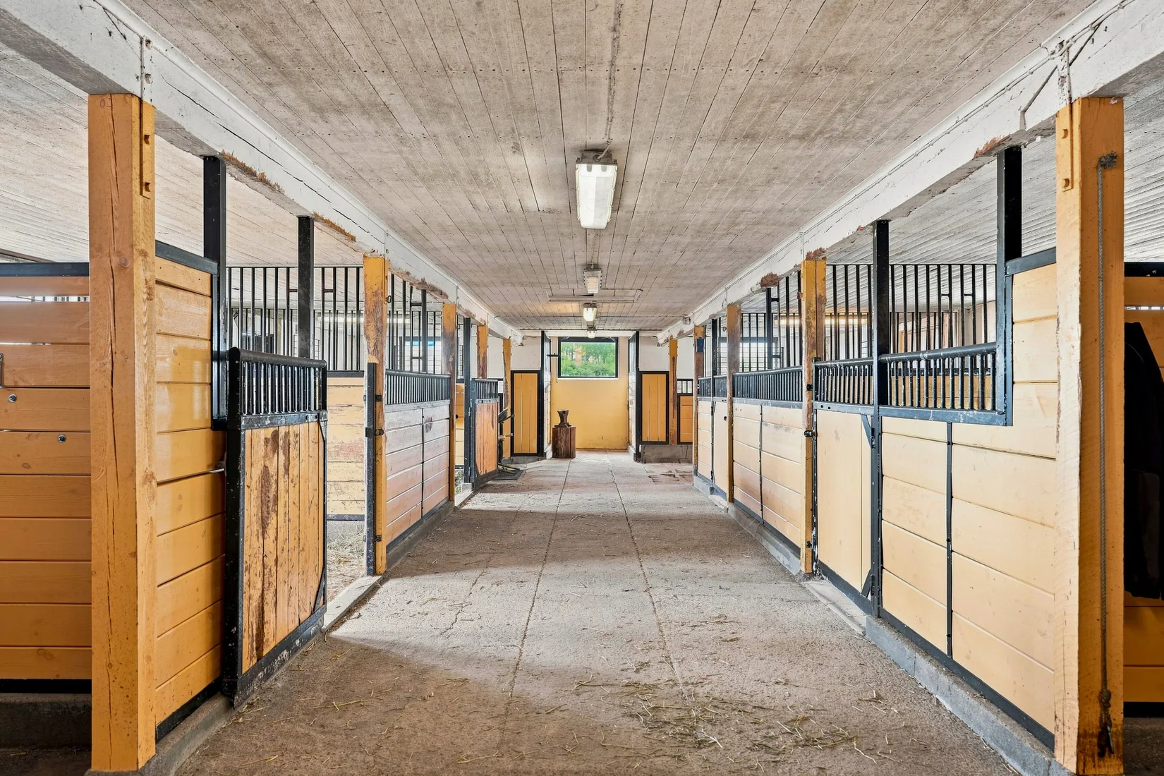 Gård/Skog, Bolsbyn 61, Rasbo, Uppsala