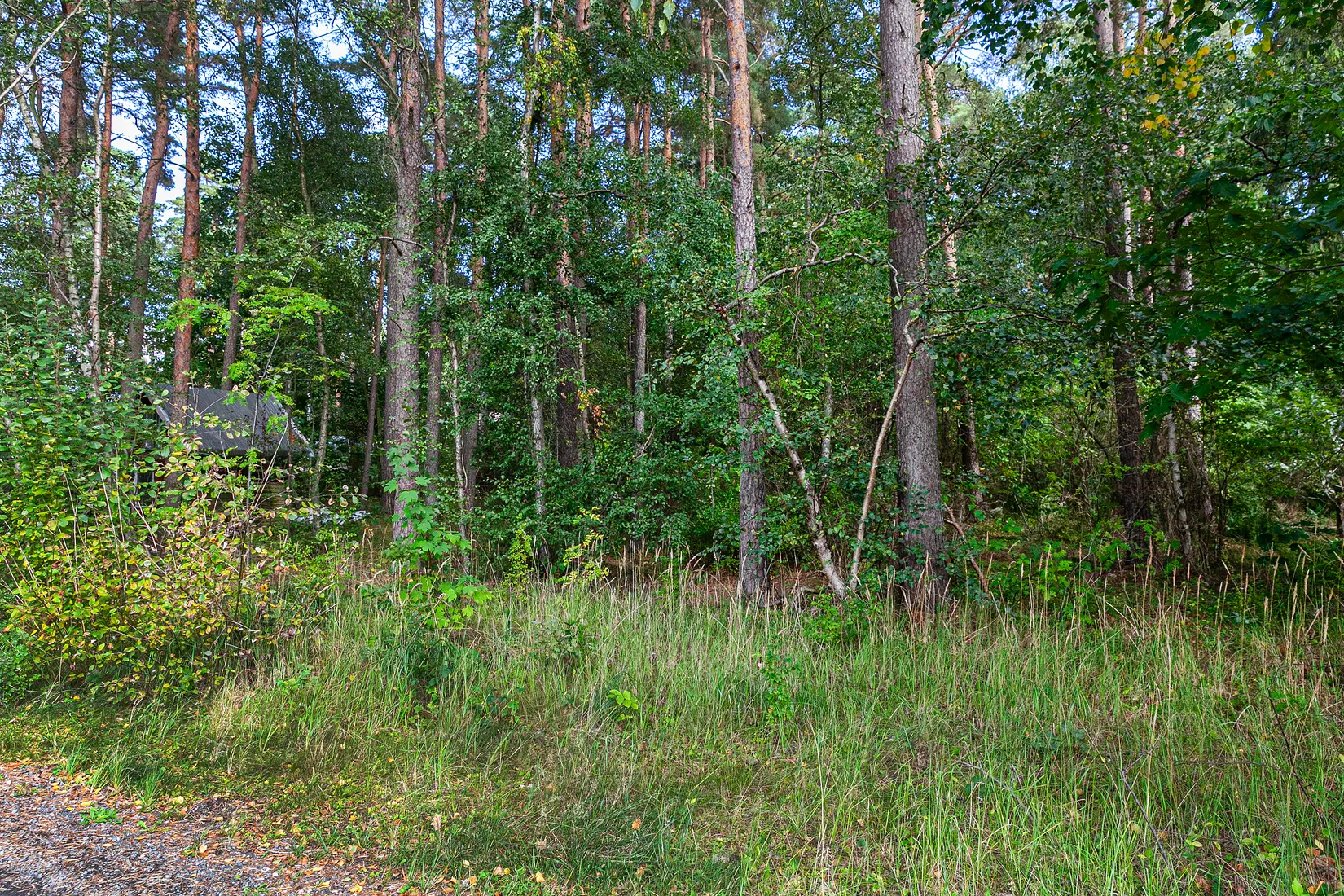 Tomt, Ekorrstigen 15, Saxtorpsskogen, Landskrona