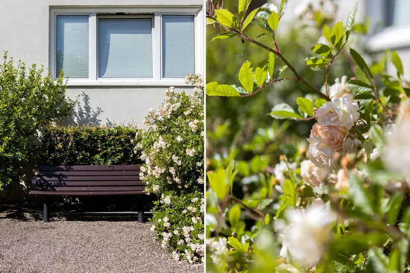 Bostadsrätt, Sofierogatan 3C, Ellstorp, Malmö