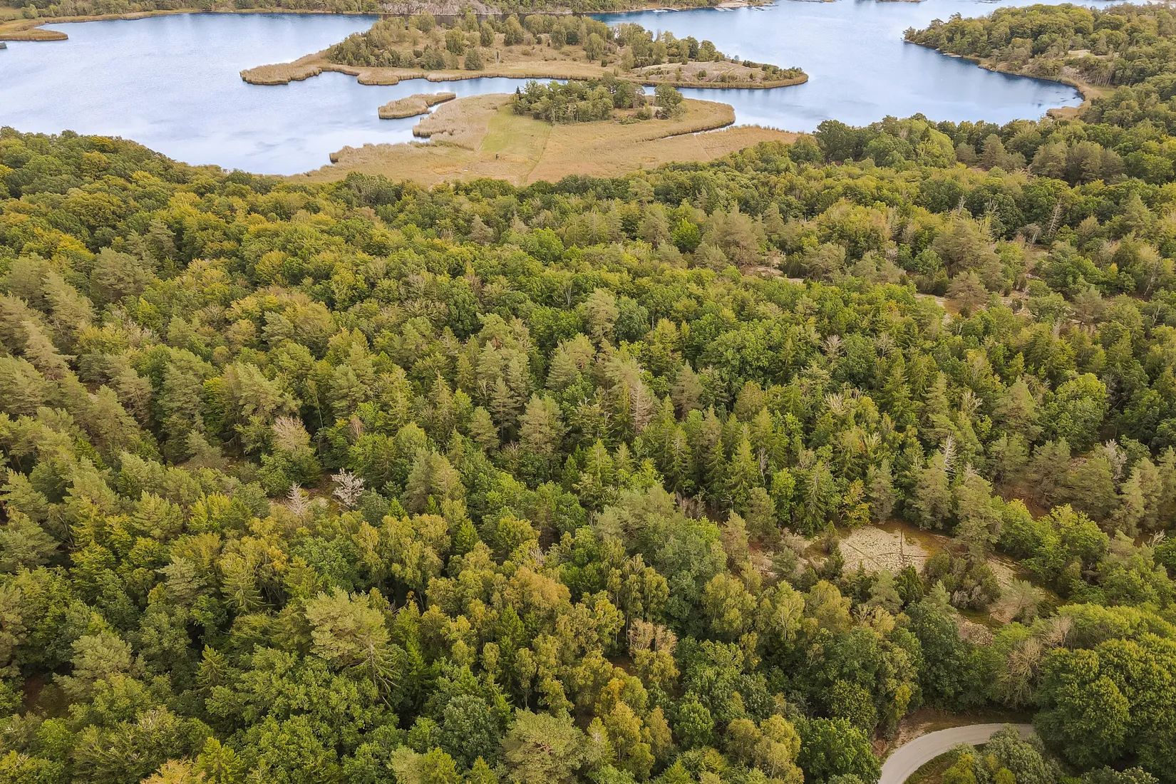 Gård/Skog, Sonekullavägen 44, Bräkne-Hoby, Ronneby