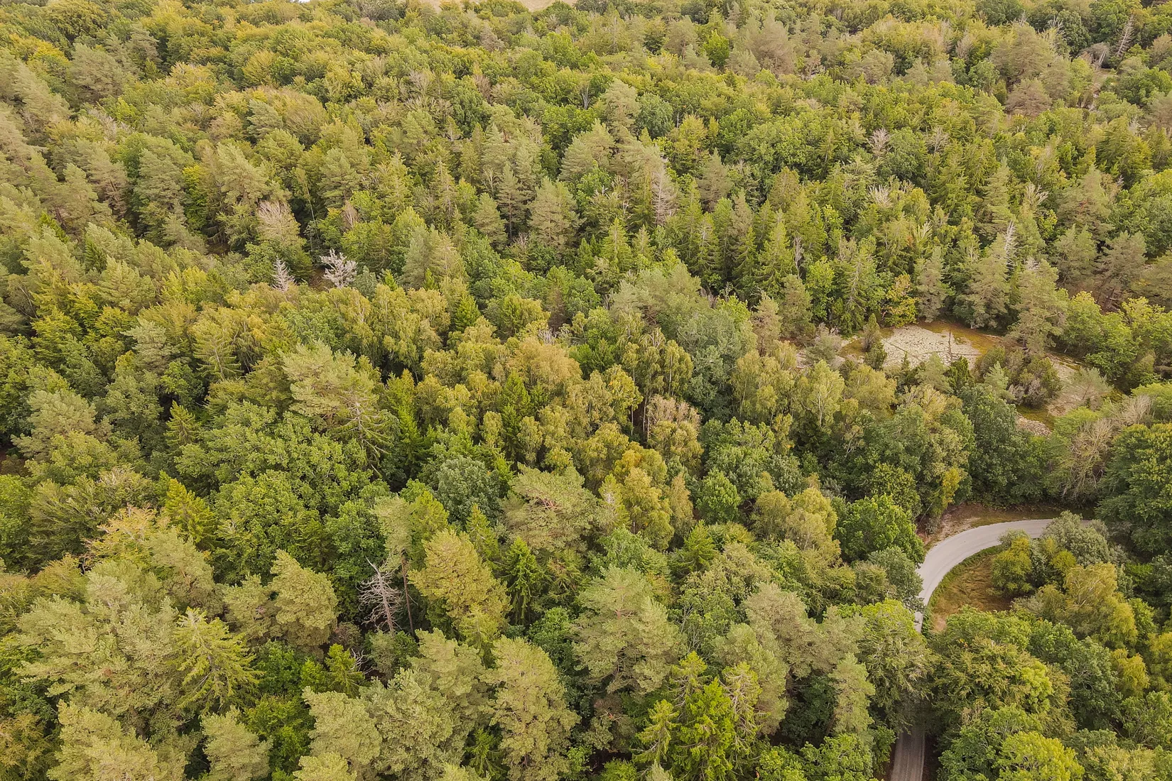 Gård/Skog, Sonekullavägen 44, Bräkne-Hoby, Ronneby