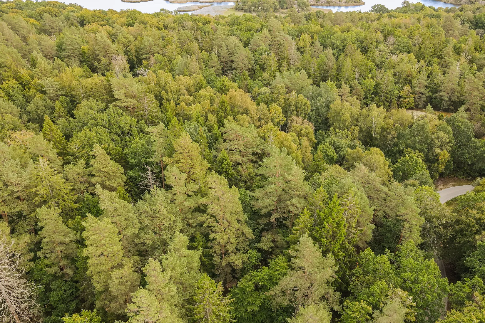 Gård/Skog, Sonekullavägen 44, Bräkne-Hoby, Ronneby