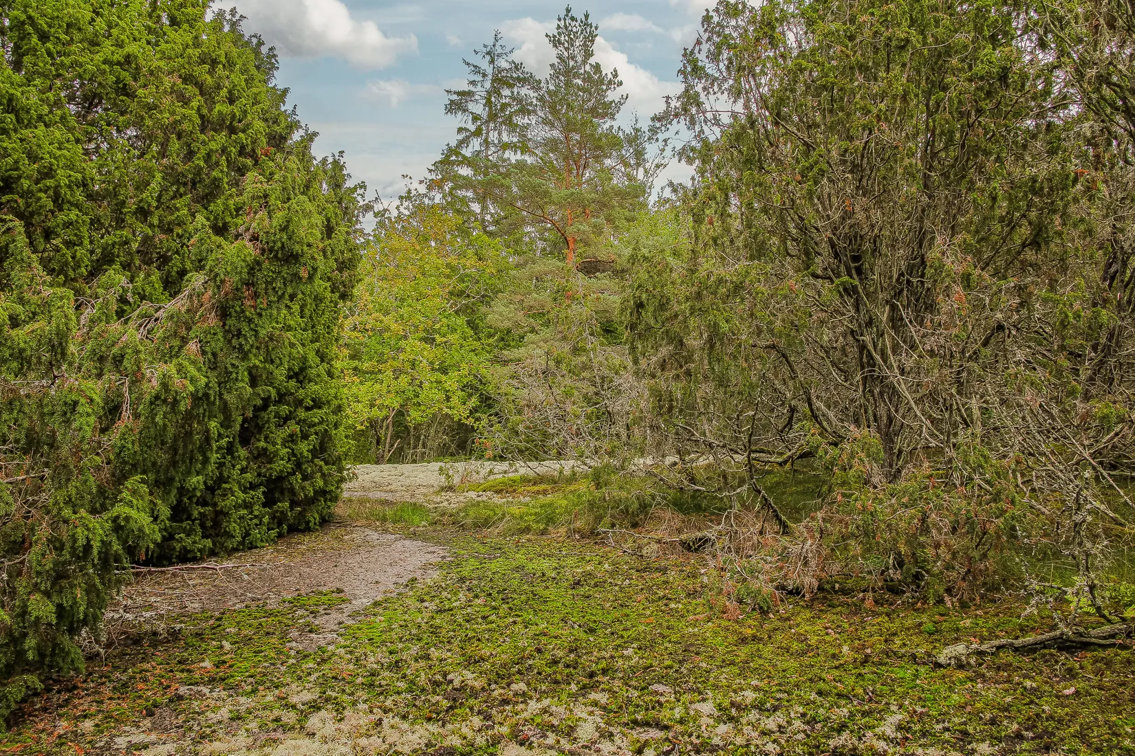Gård/Skog, Sonekullavägen 44, Bräkne-Hoby, Ronneby