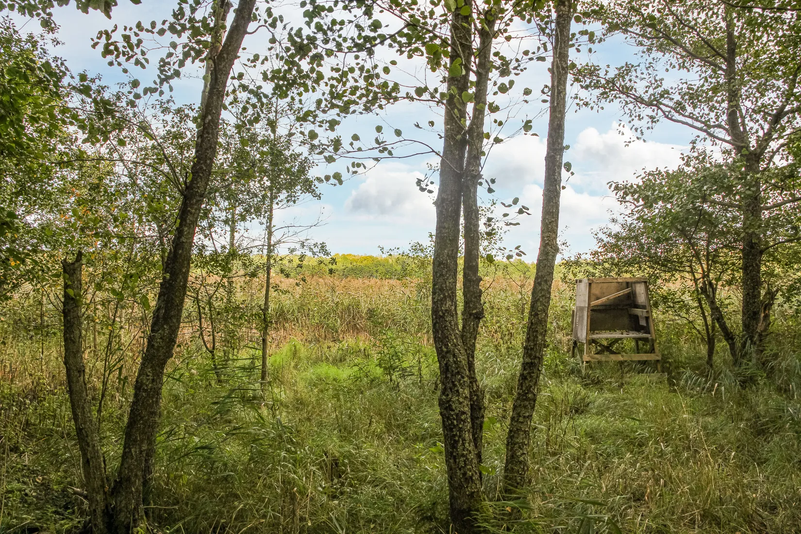 Gård/Skog, Sonekullavägen 44, Bräkne-Hoby, Ronneby