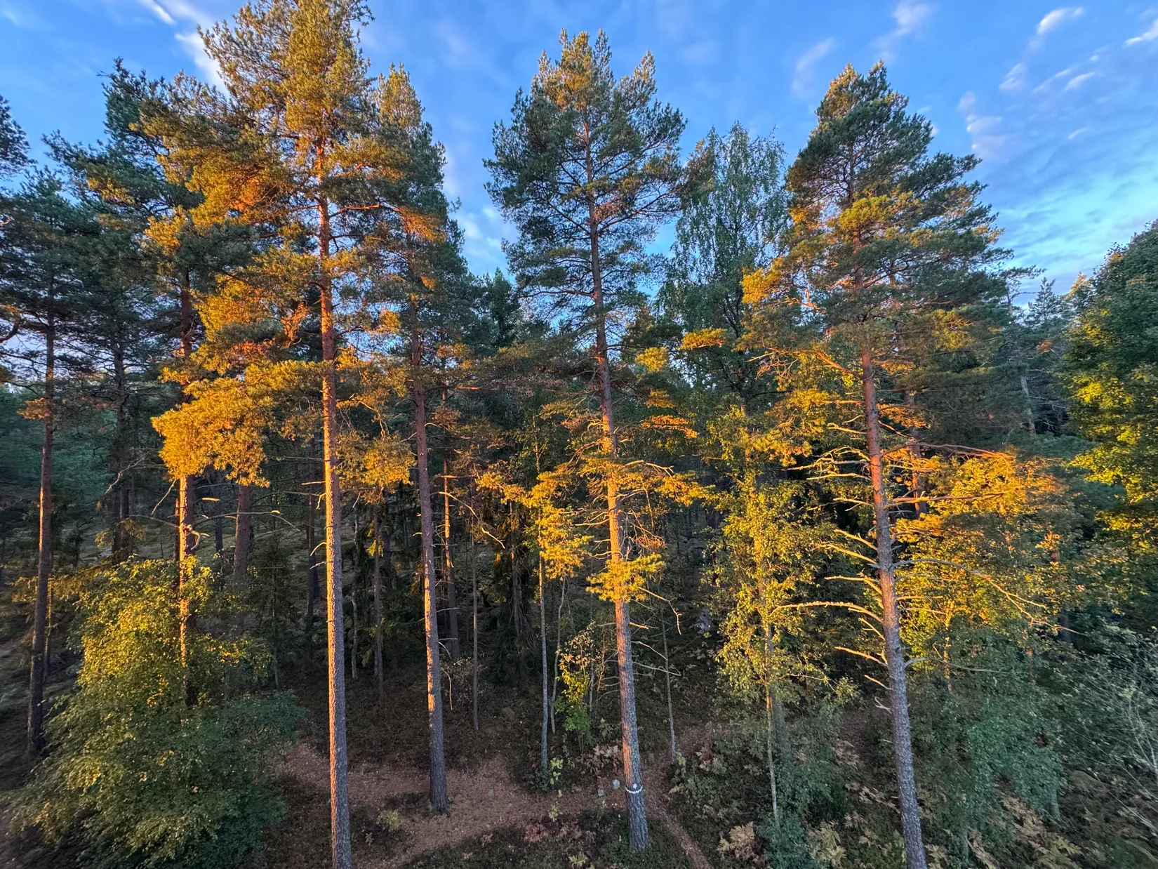 Bostadsrätt, Grankvistgatan 9, Kronskogen, Eskilstuna