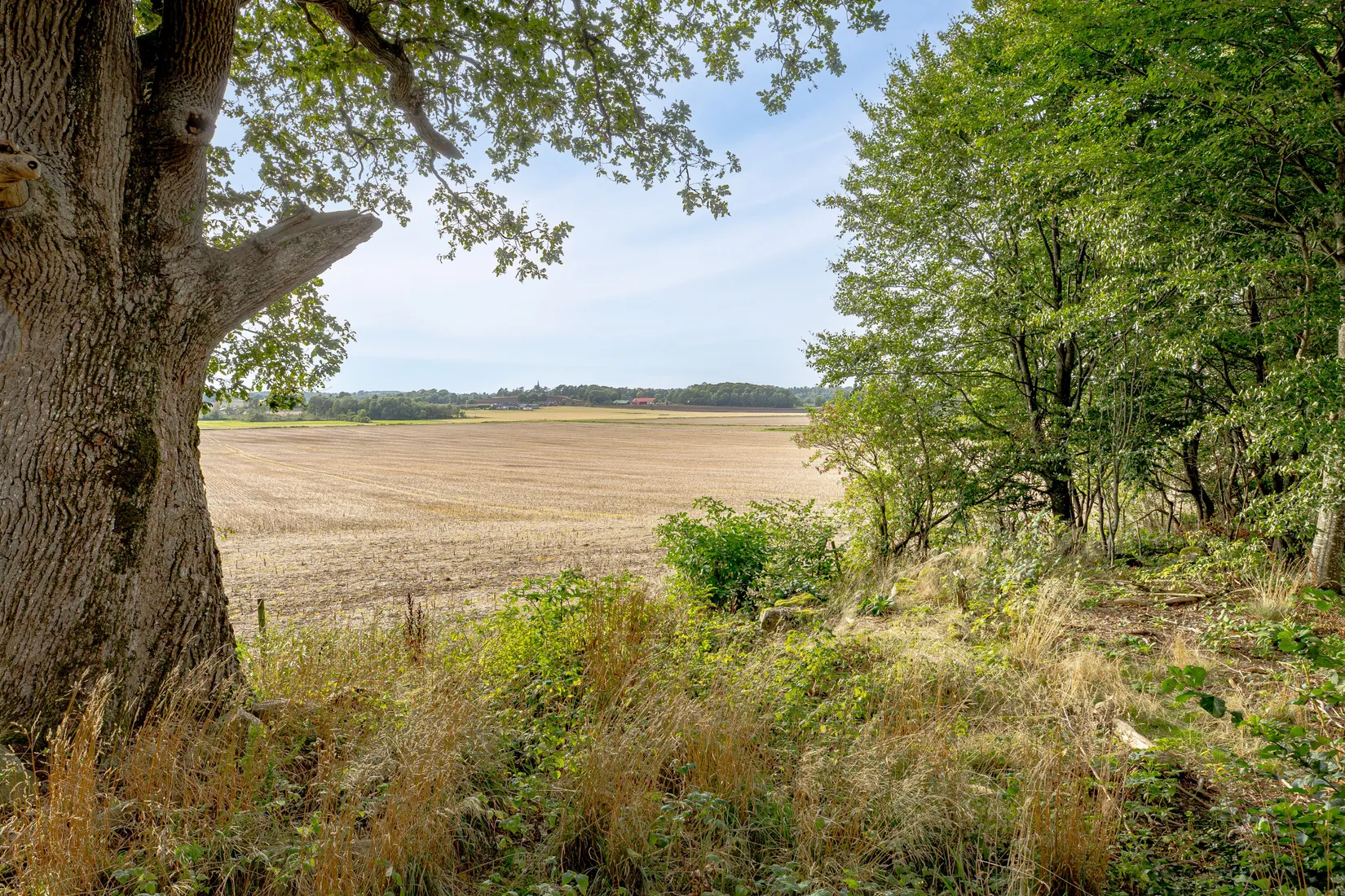 Fritidshus, Ingelstorp 120, Falkenberg