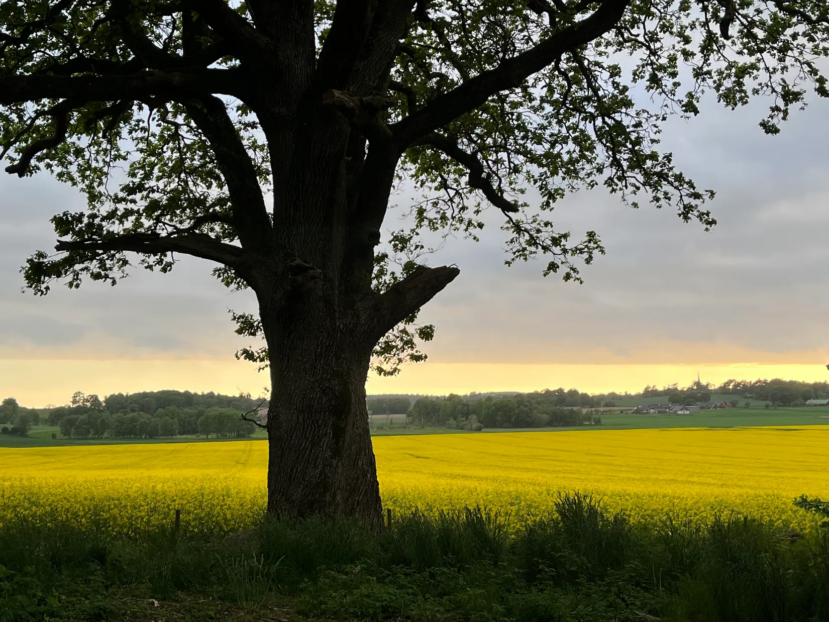 Fritidshus, Ingelstorp 120, Falkenberg