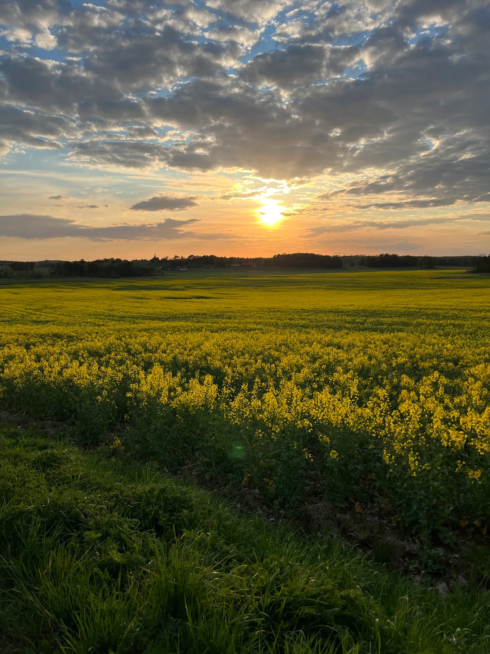 Fritidshus, Ingelstorp 120, Falkenberg