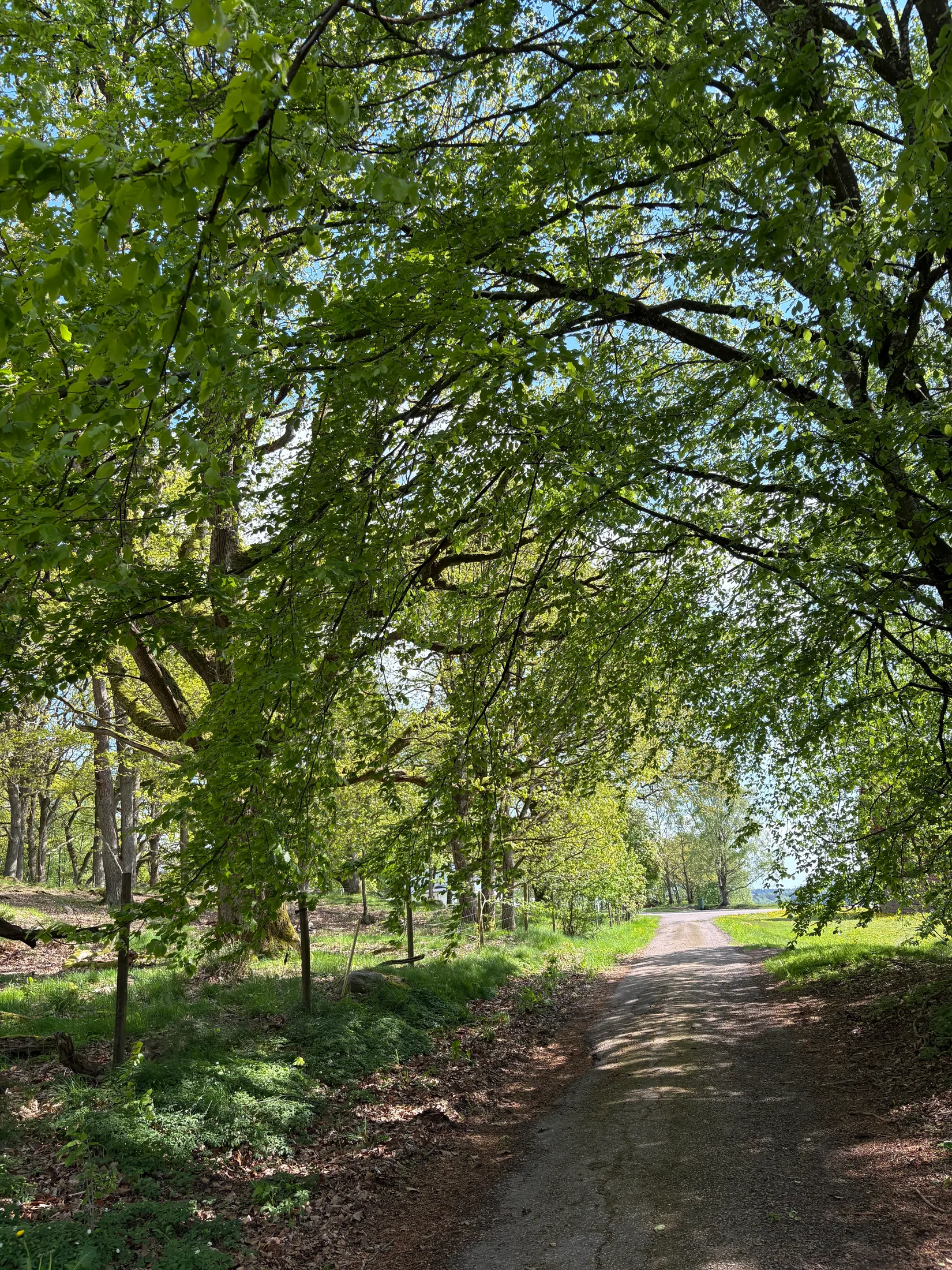 Fritidshus, Ingelstorp 120, Falkenberg